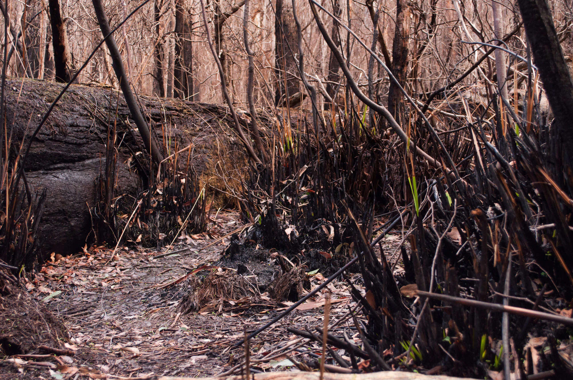 057 — Скачать