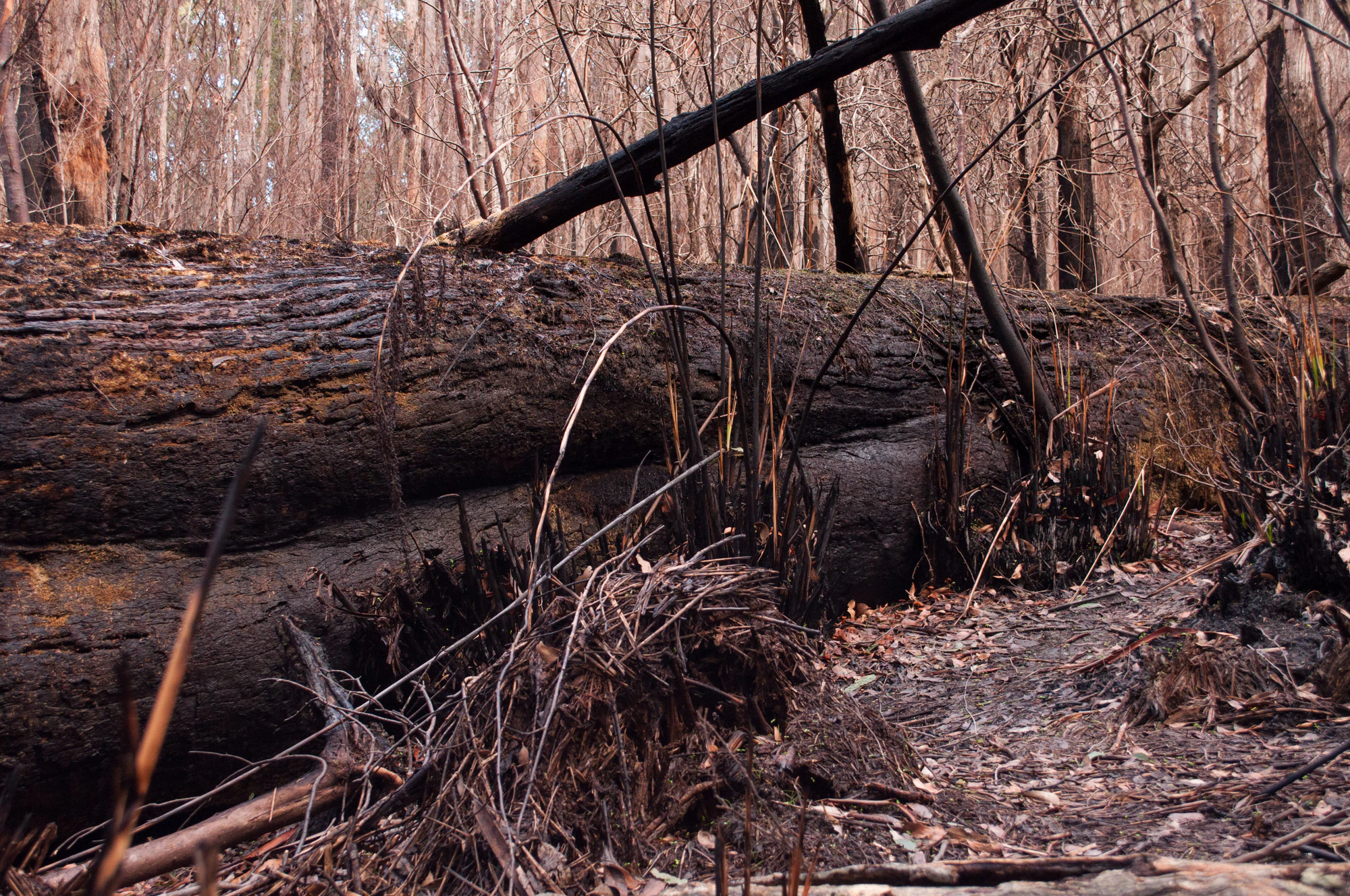 058 — Скачать