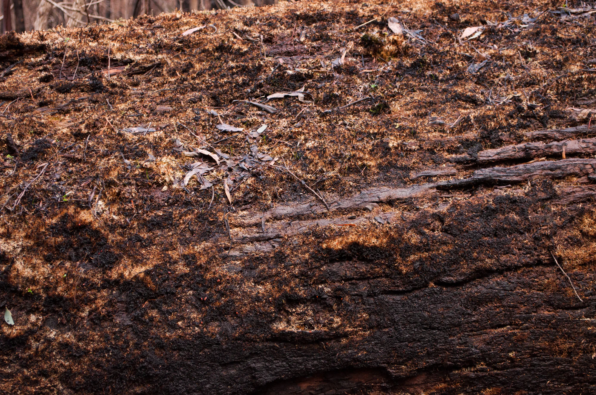 061 — Скачать