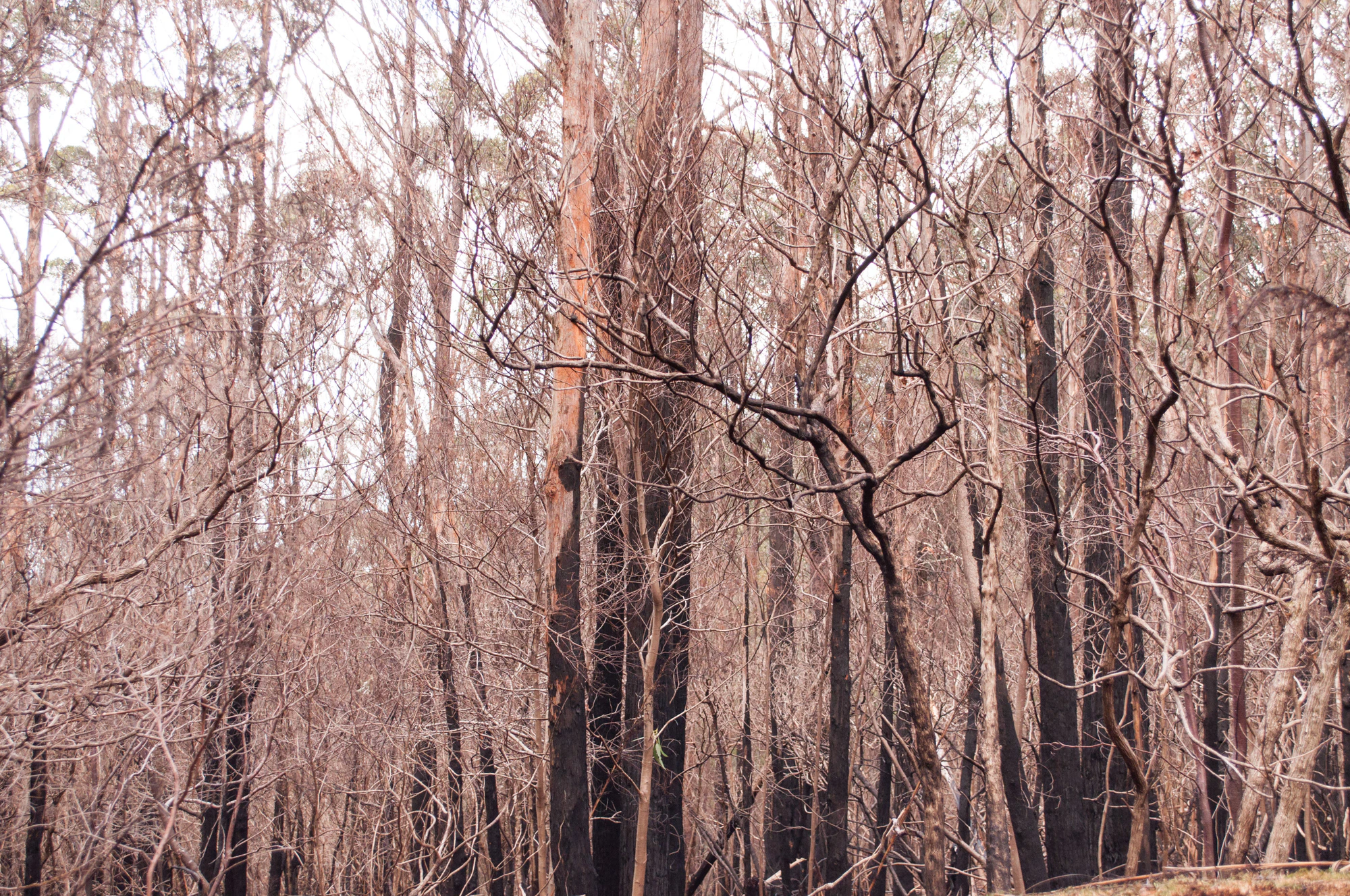 062 — Скачать