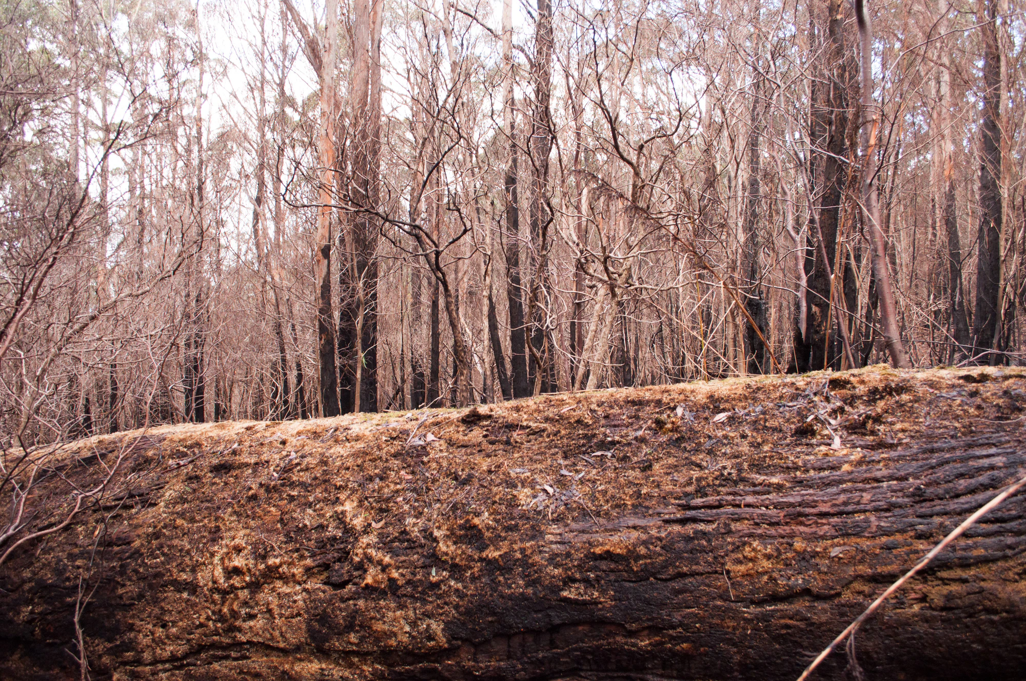 063 — Скачать