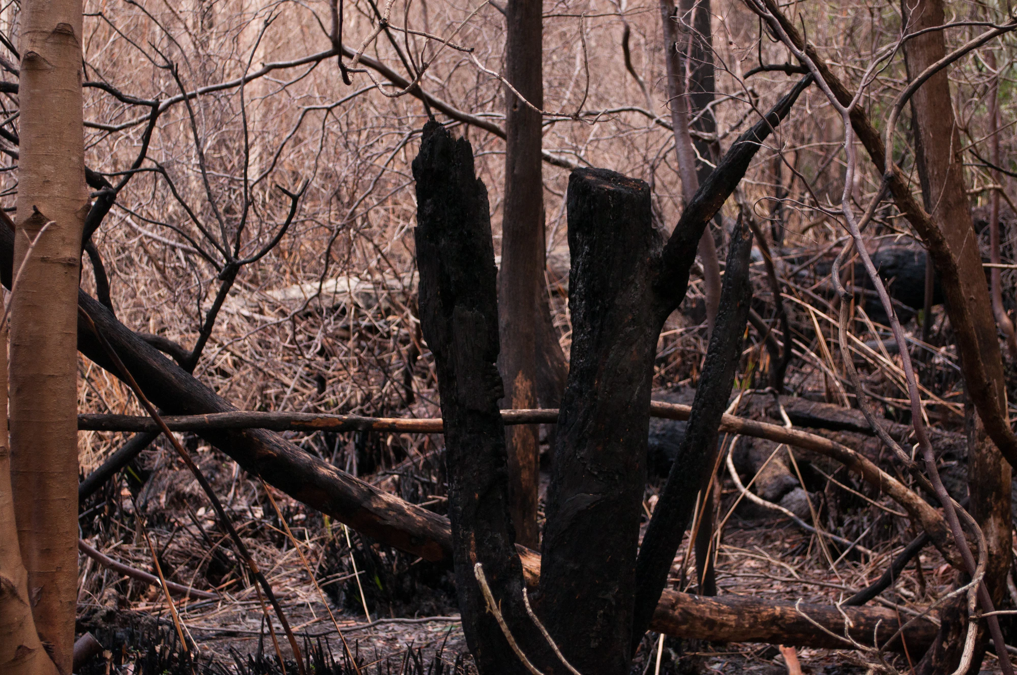 065 — Скачать