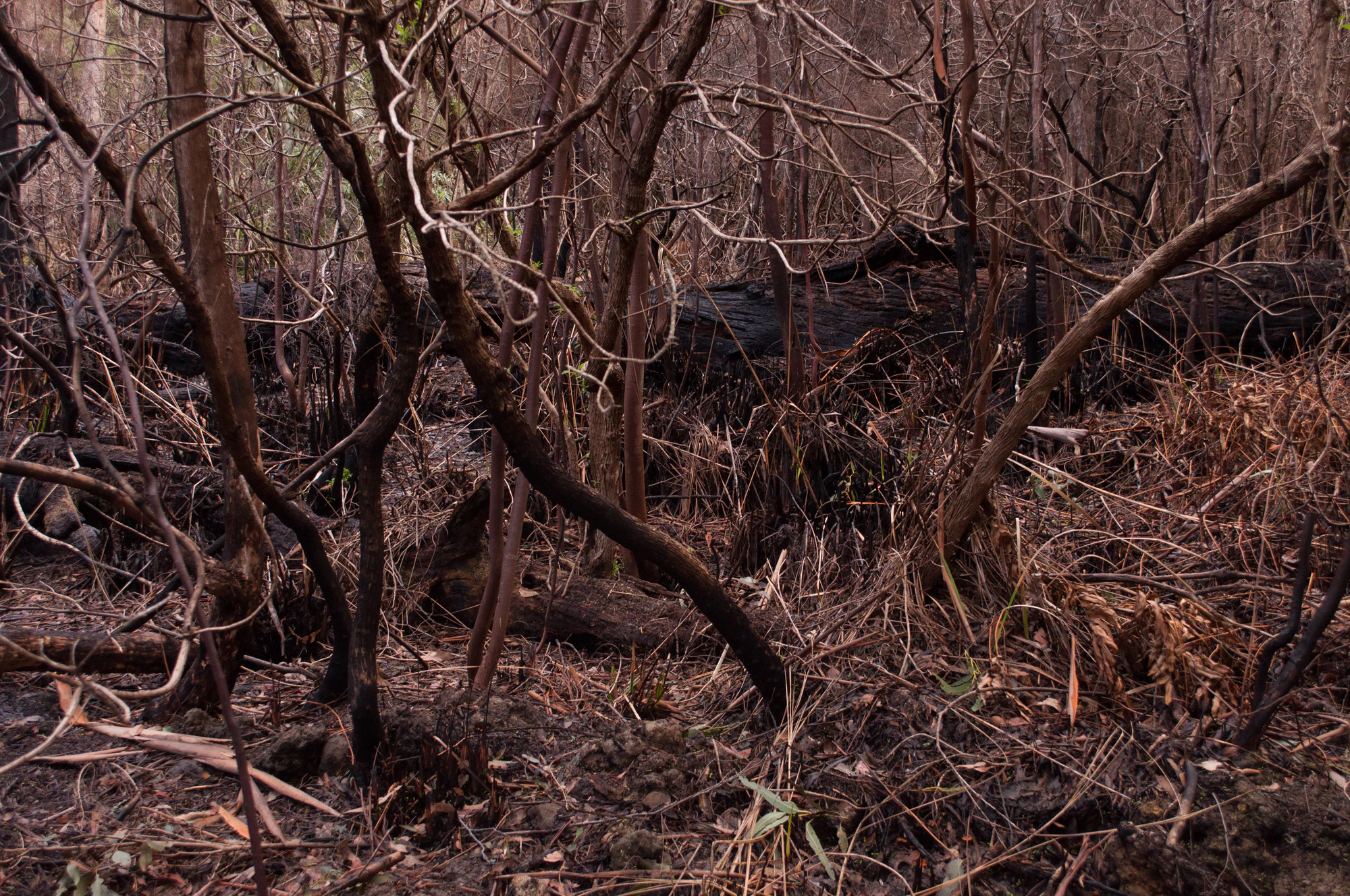 066 — Скачать