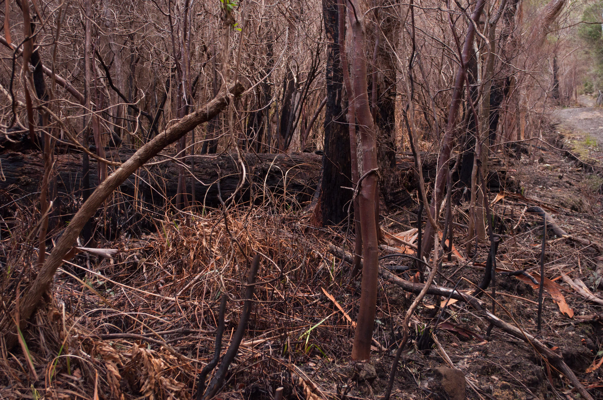 067 — Скачать