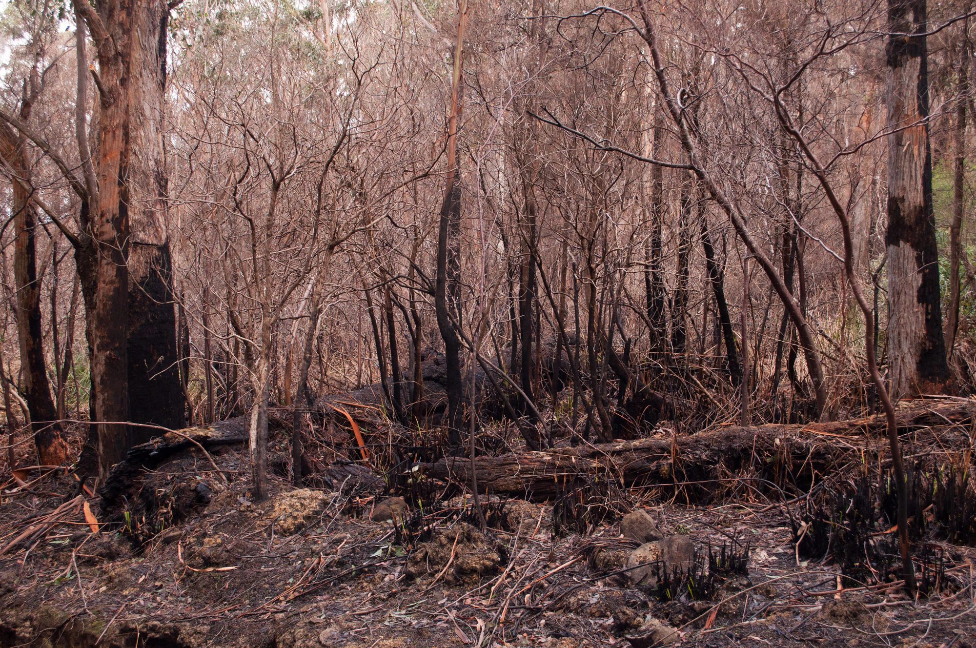 069 — Скачать