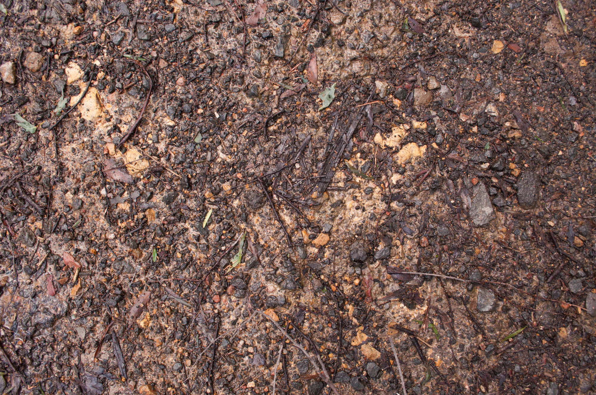 072 — Скачать