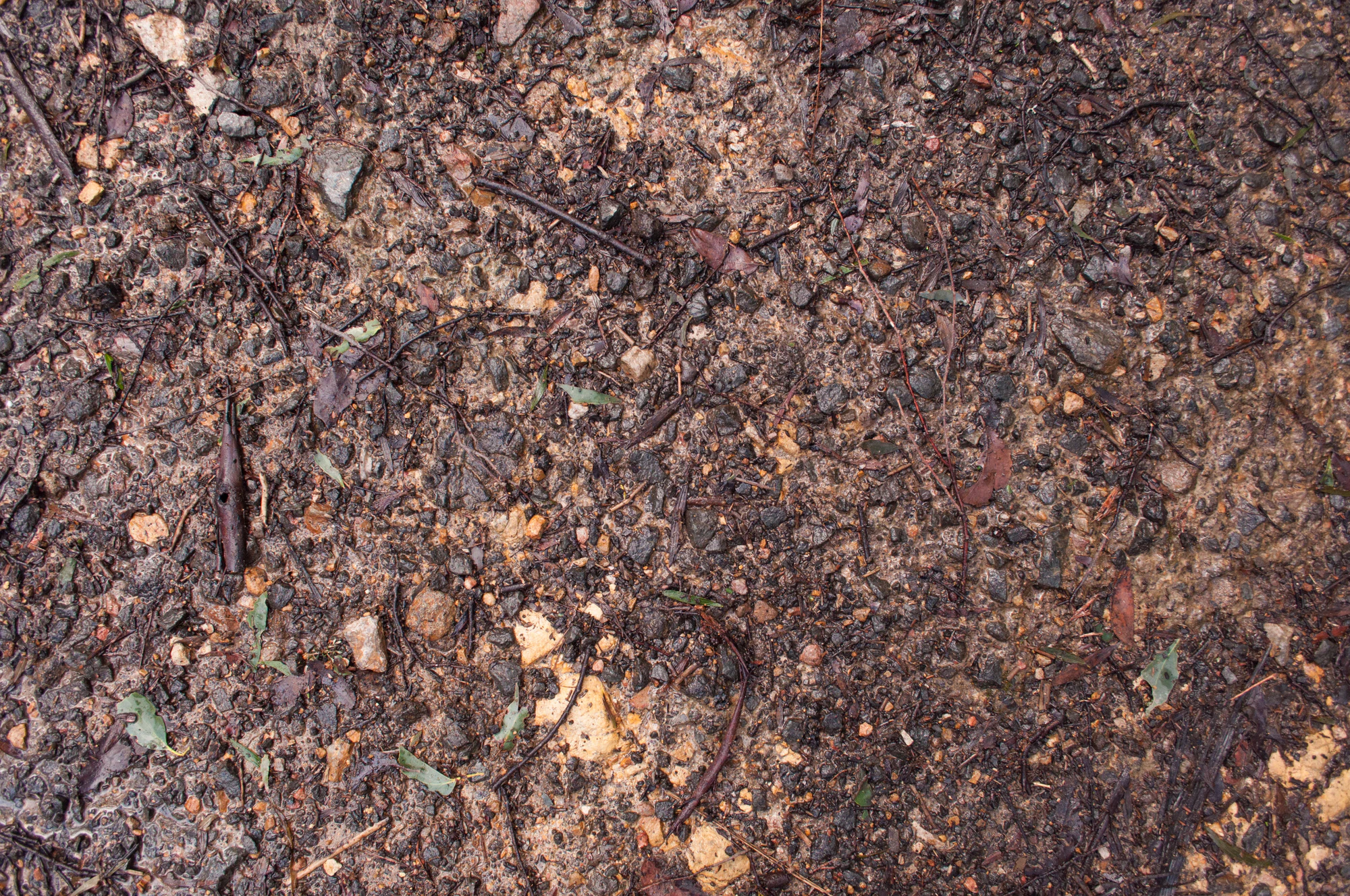 073 — Скачать