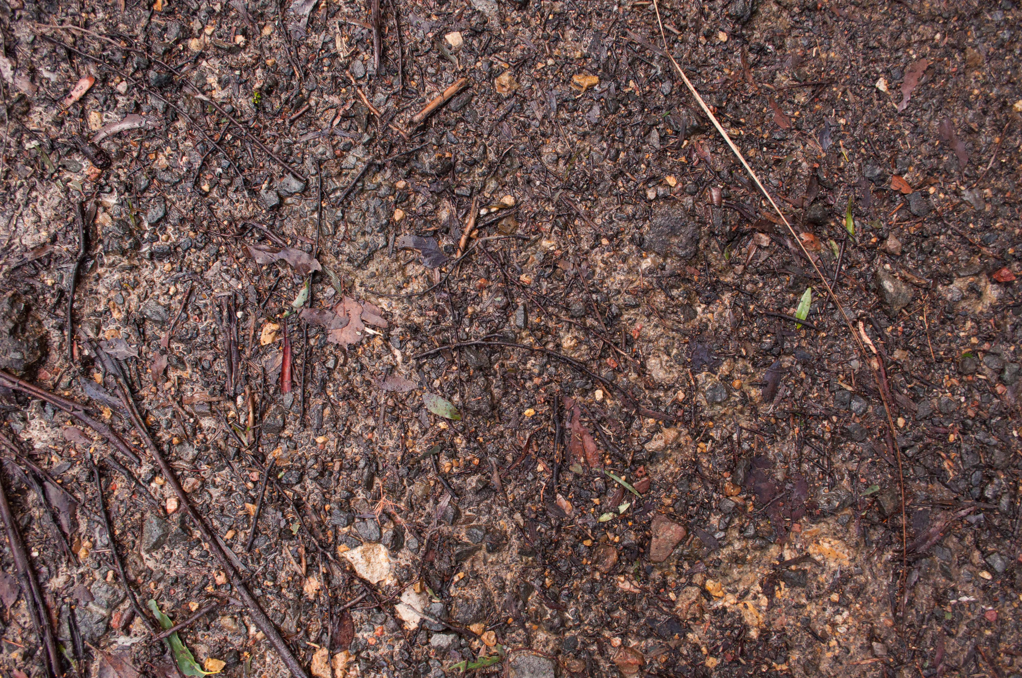 074 — Скачать