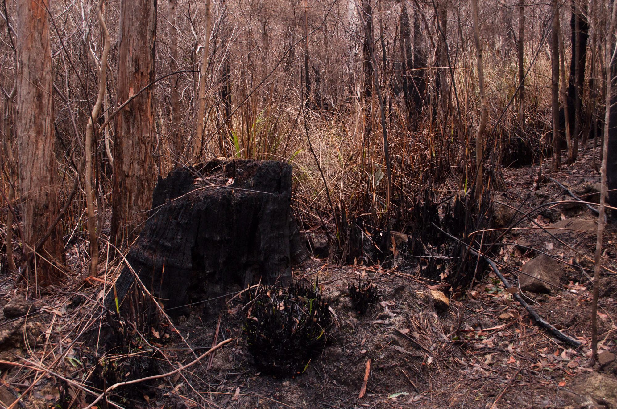 075 — Скачать