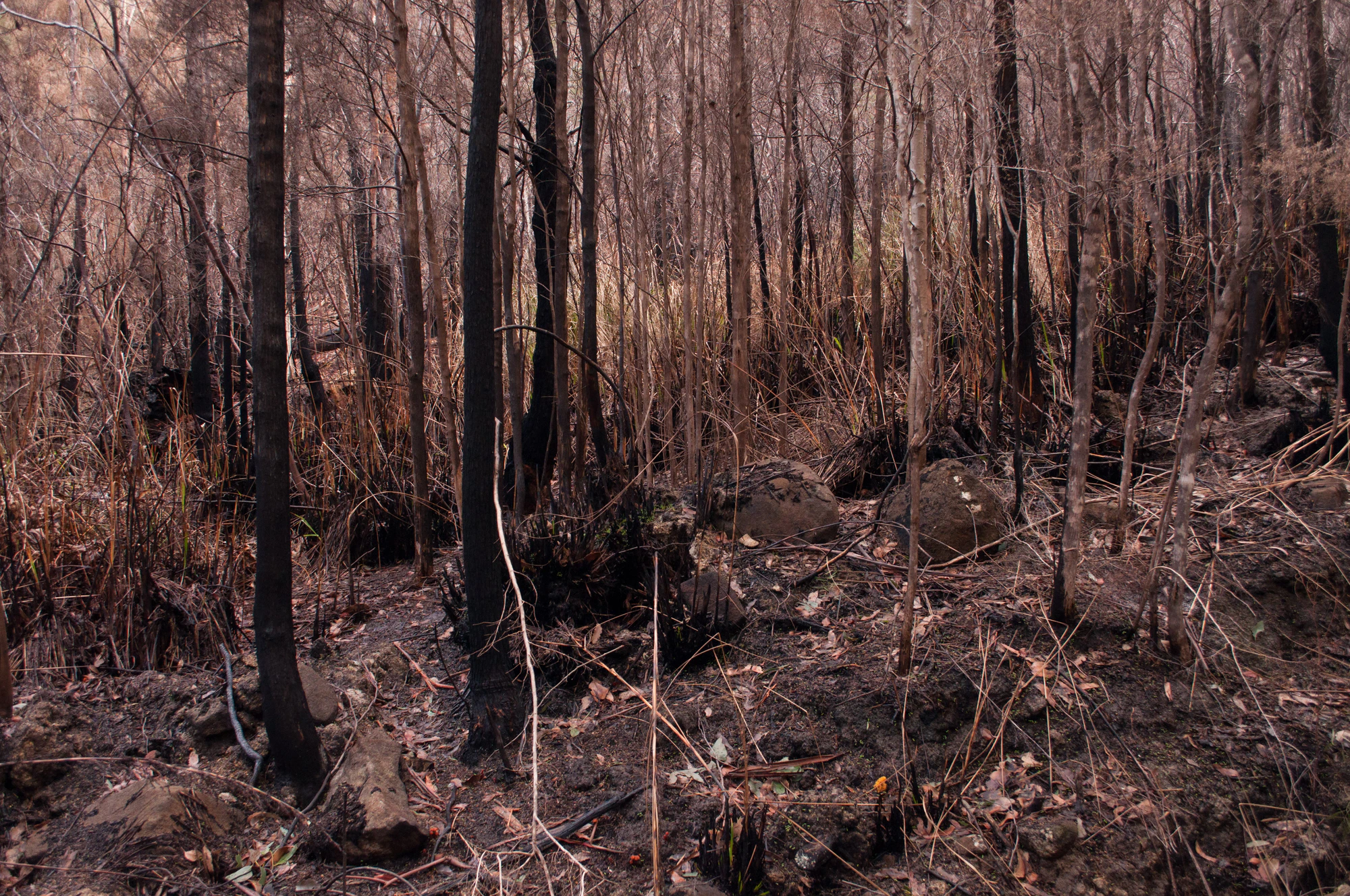 076 — Скачать