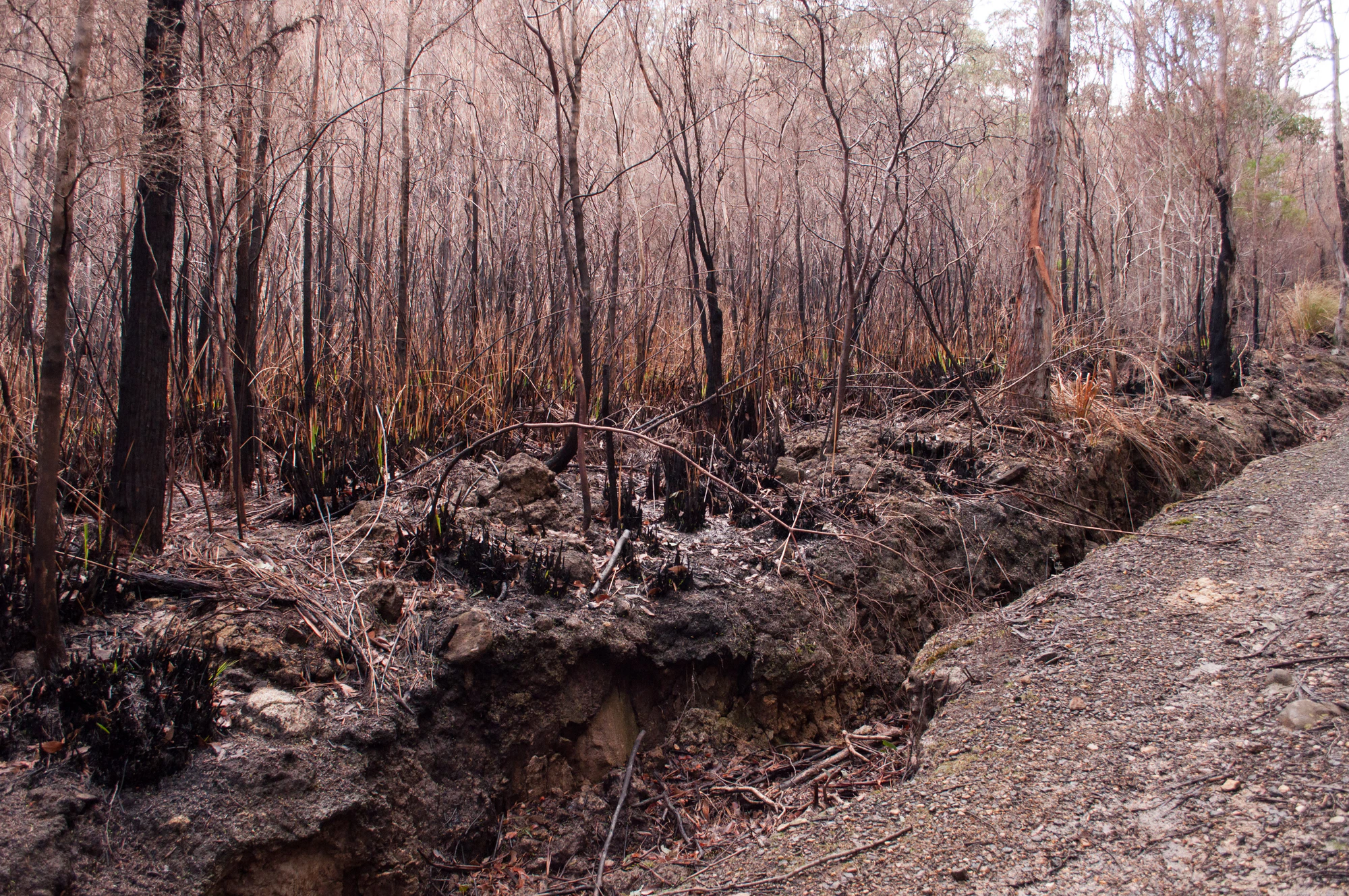 078 — Скачать