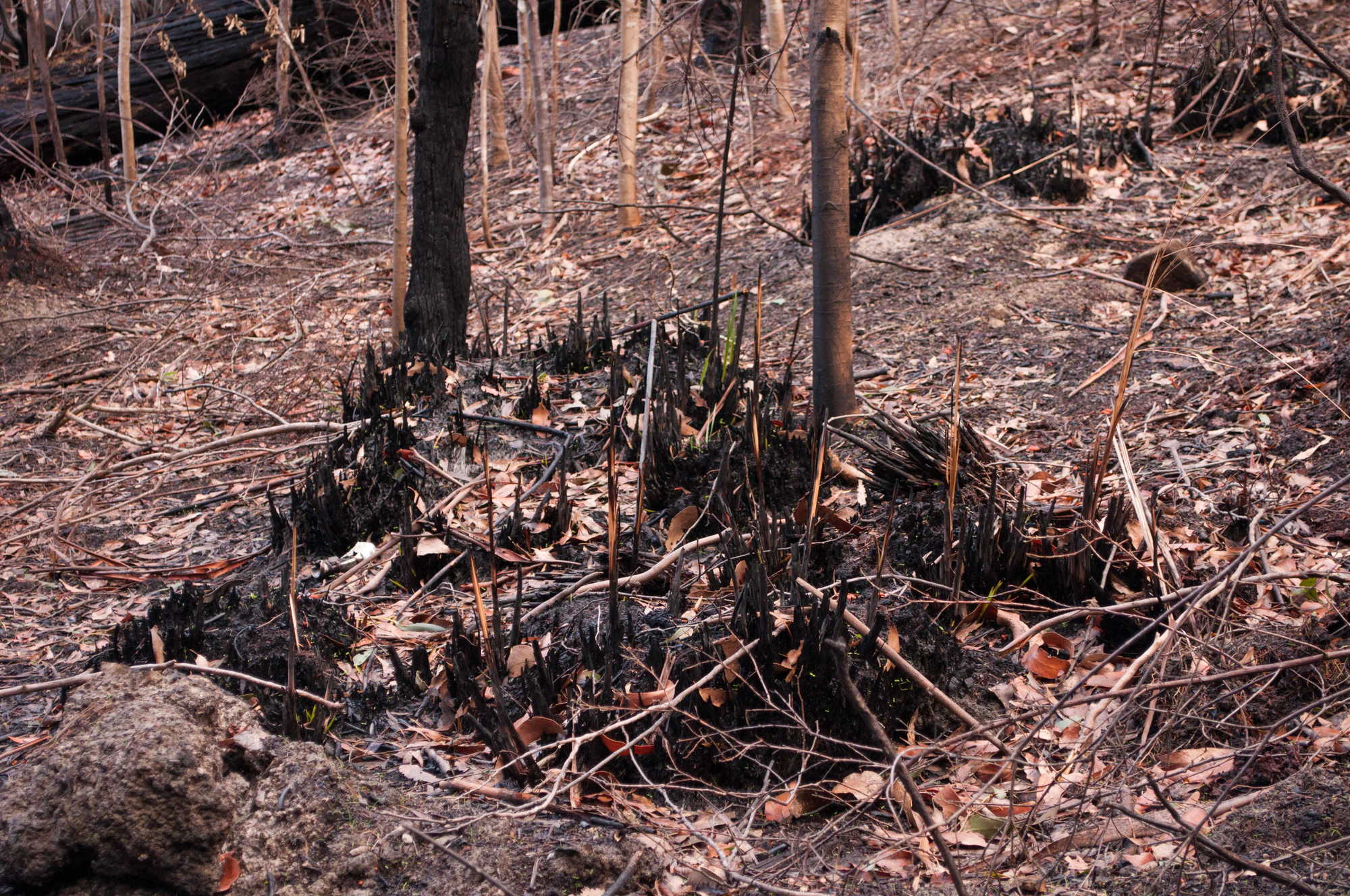 082 — Скачать