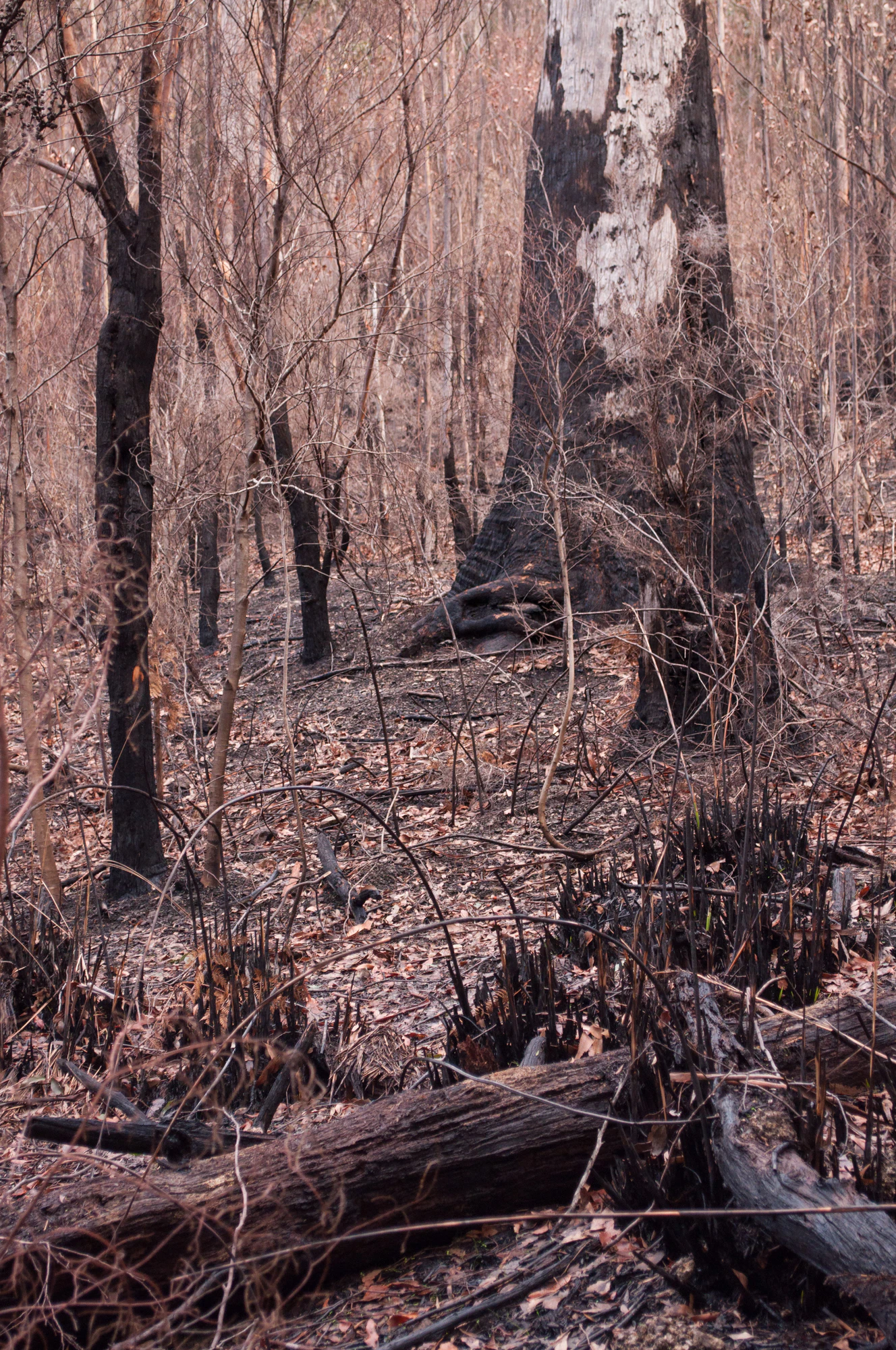 084 — Скачать