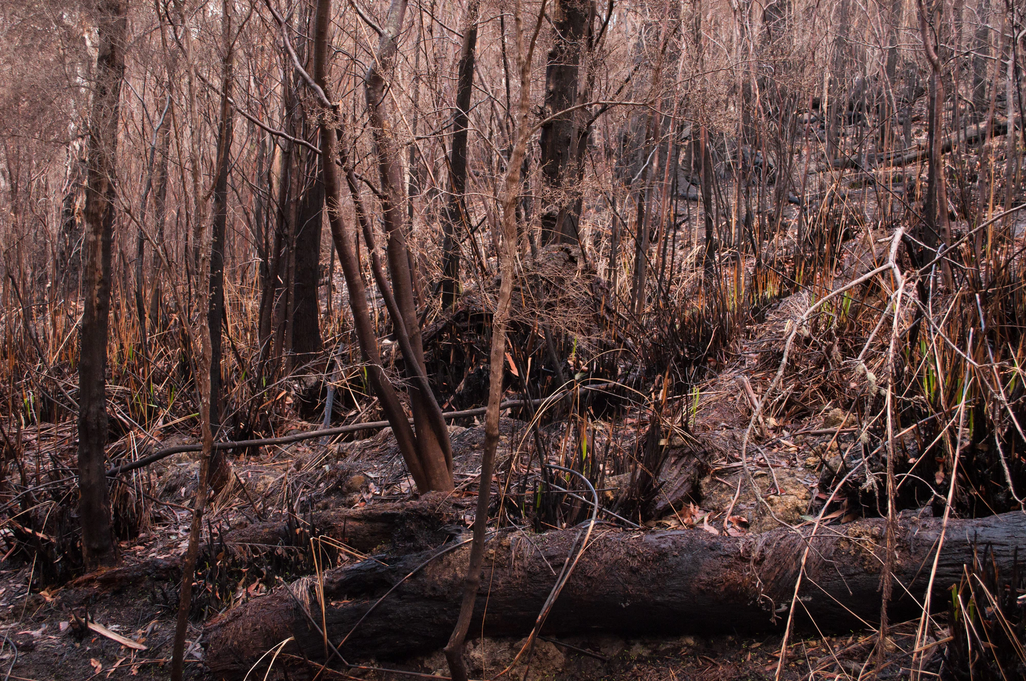 085 — Скачать