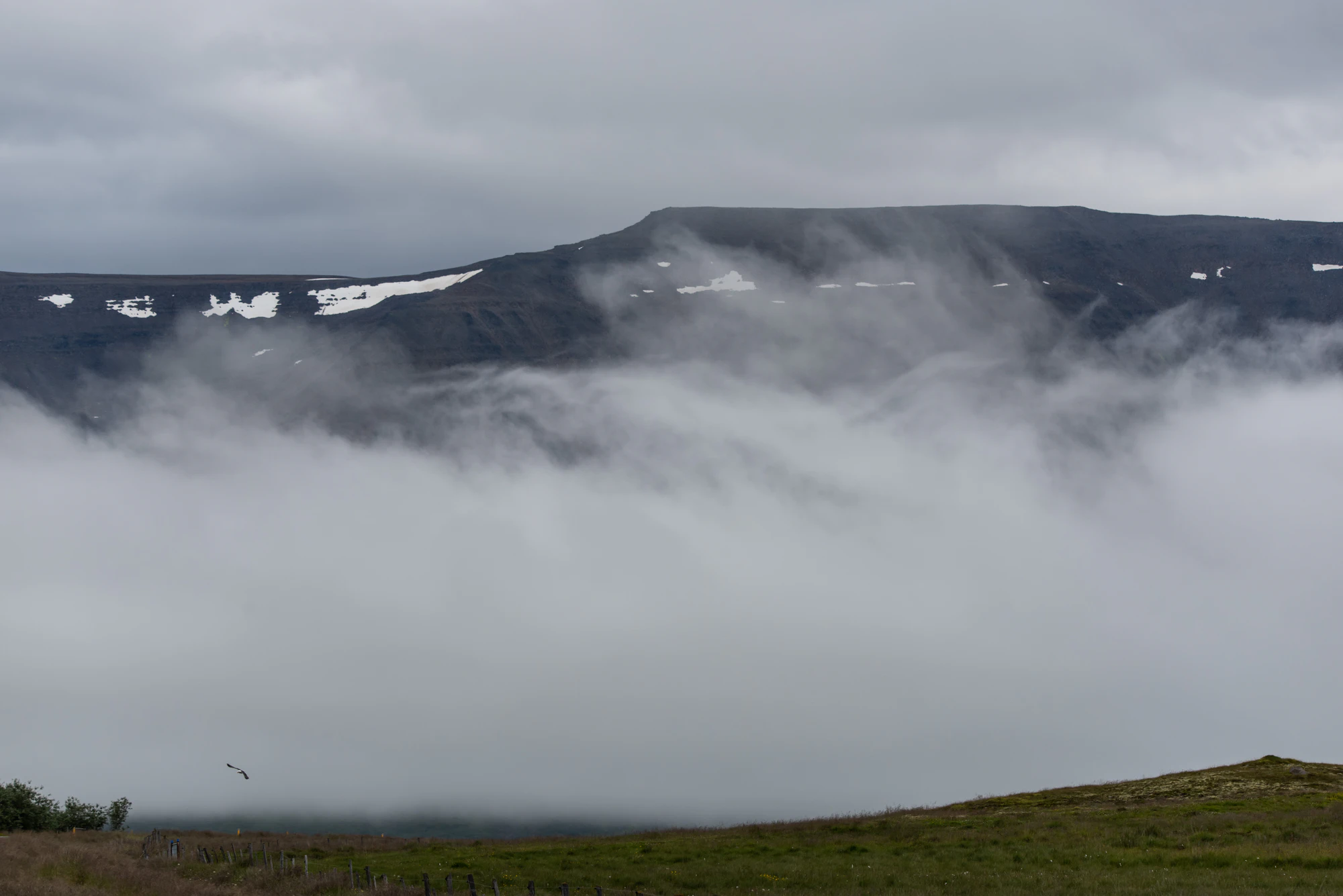 124 — Скачать