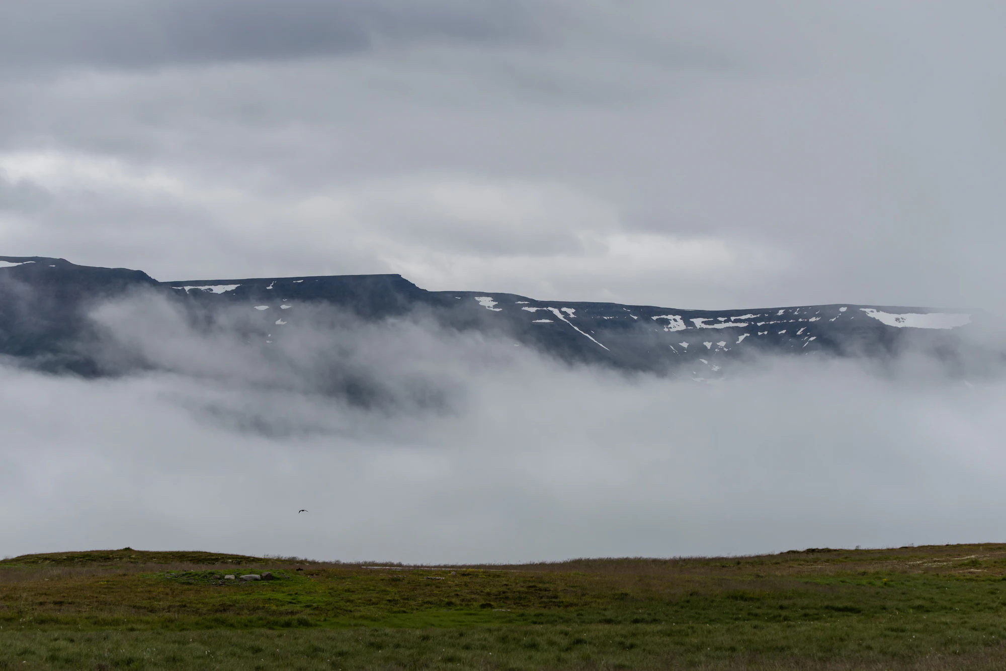 126 — Скачать