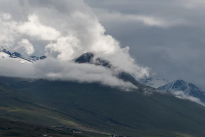 171 — Скачать