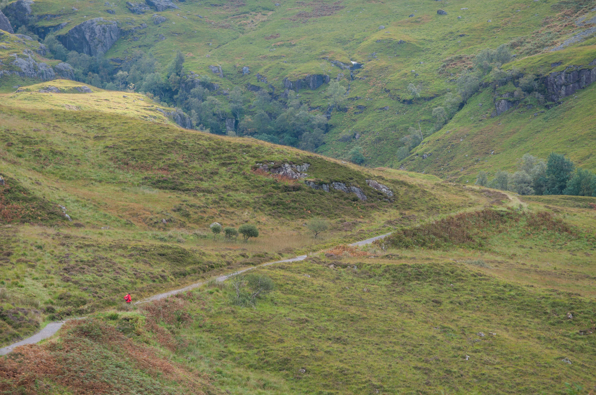 255 — Скачать