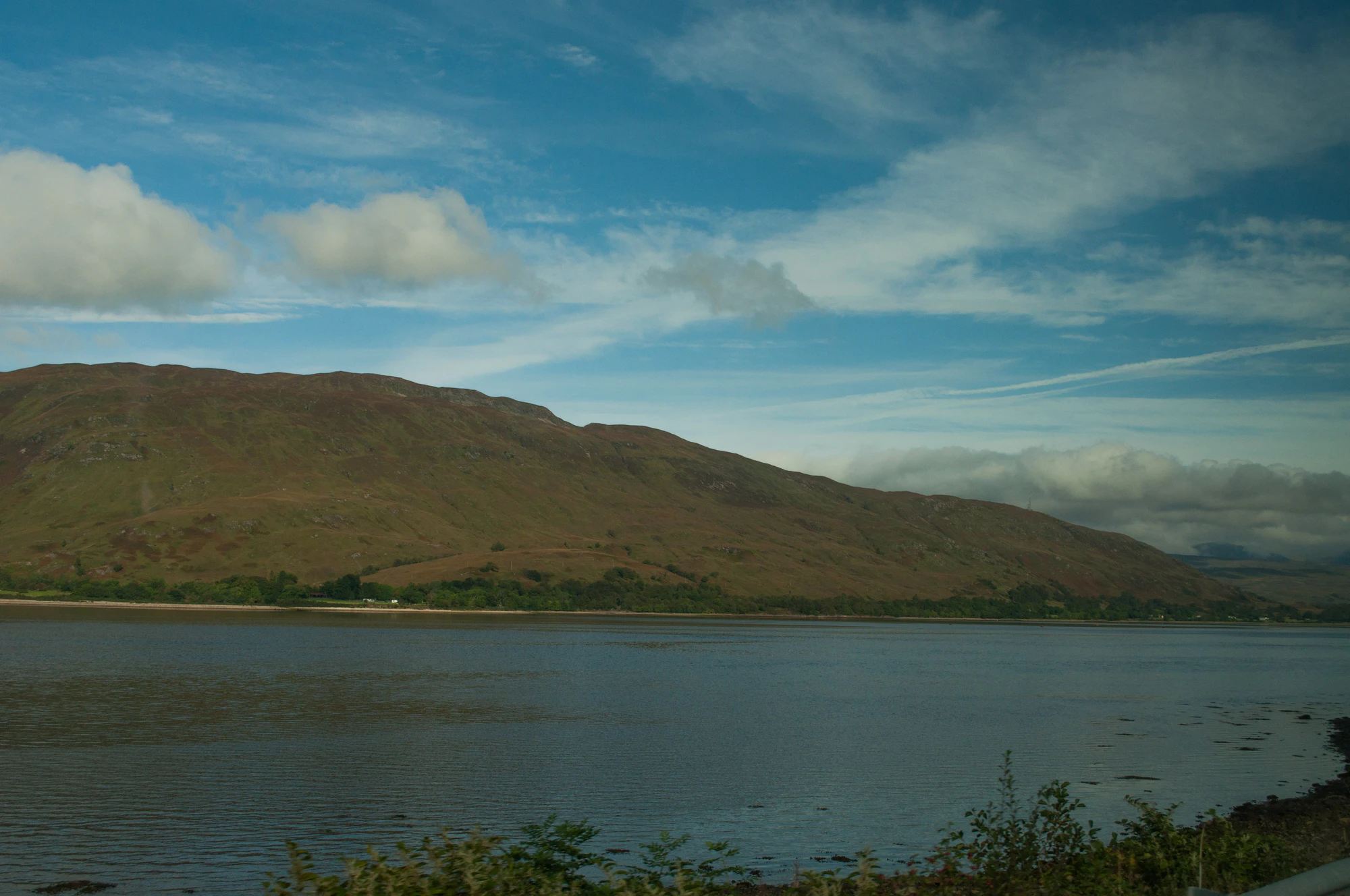 262 — Скачать