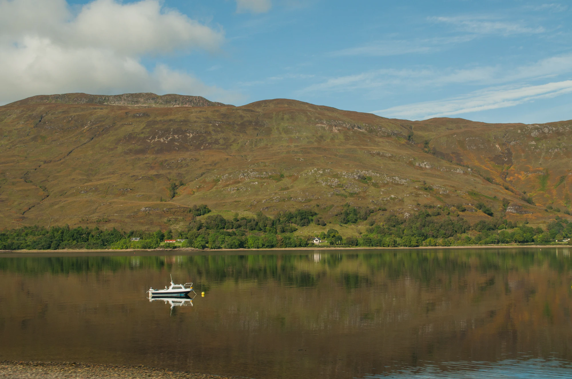 263 — Скачать