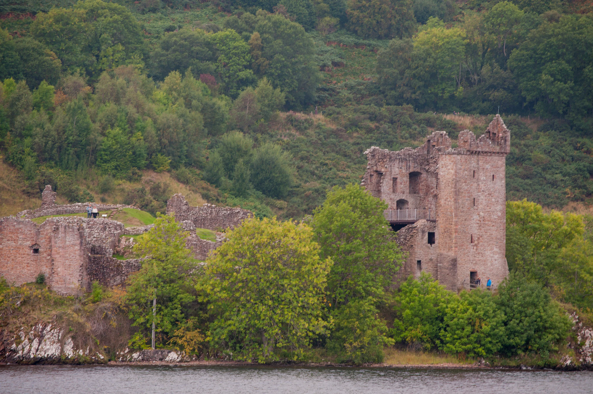 272 — Скачать