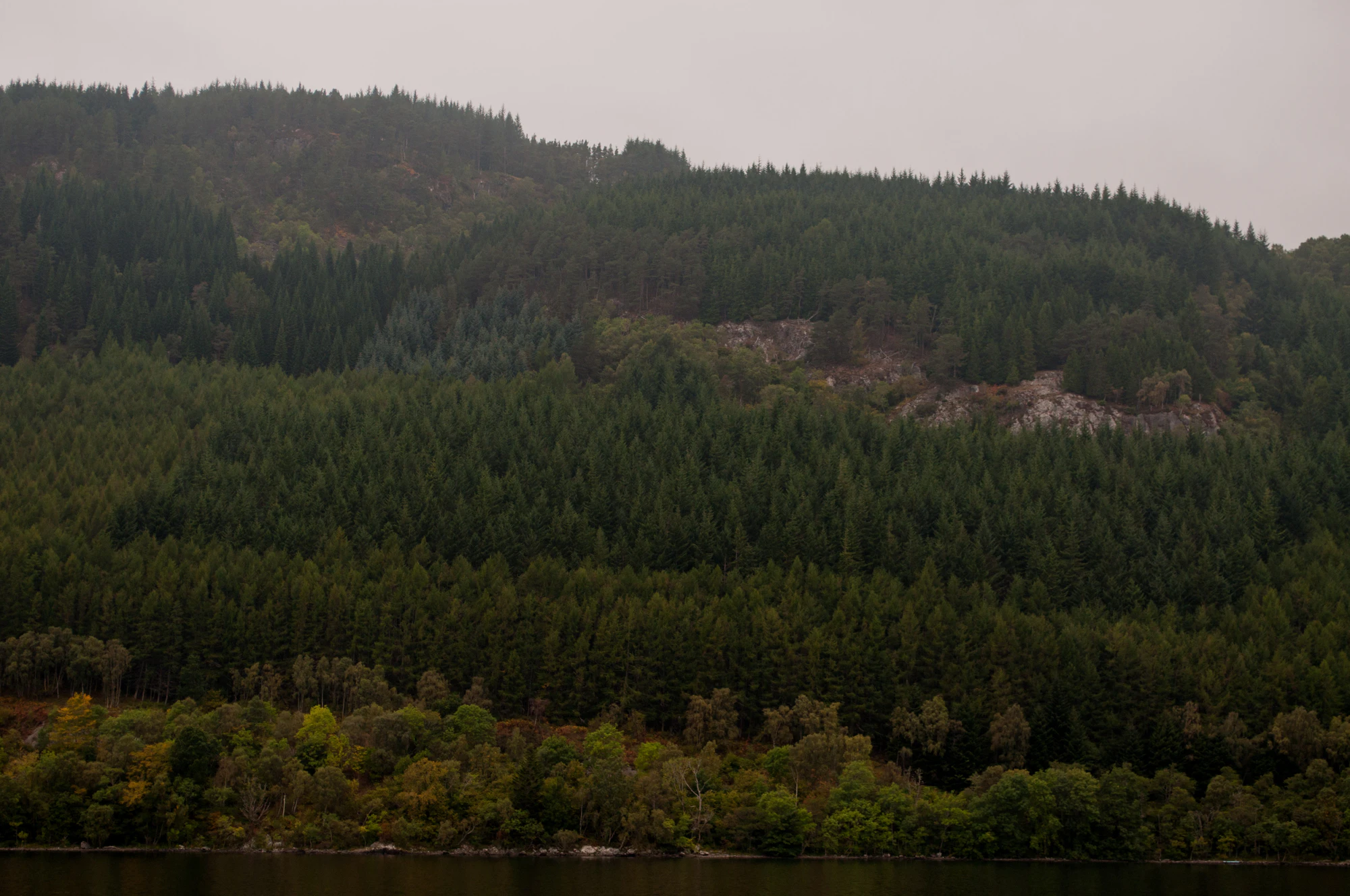 273 — Скачать