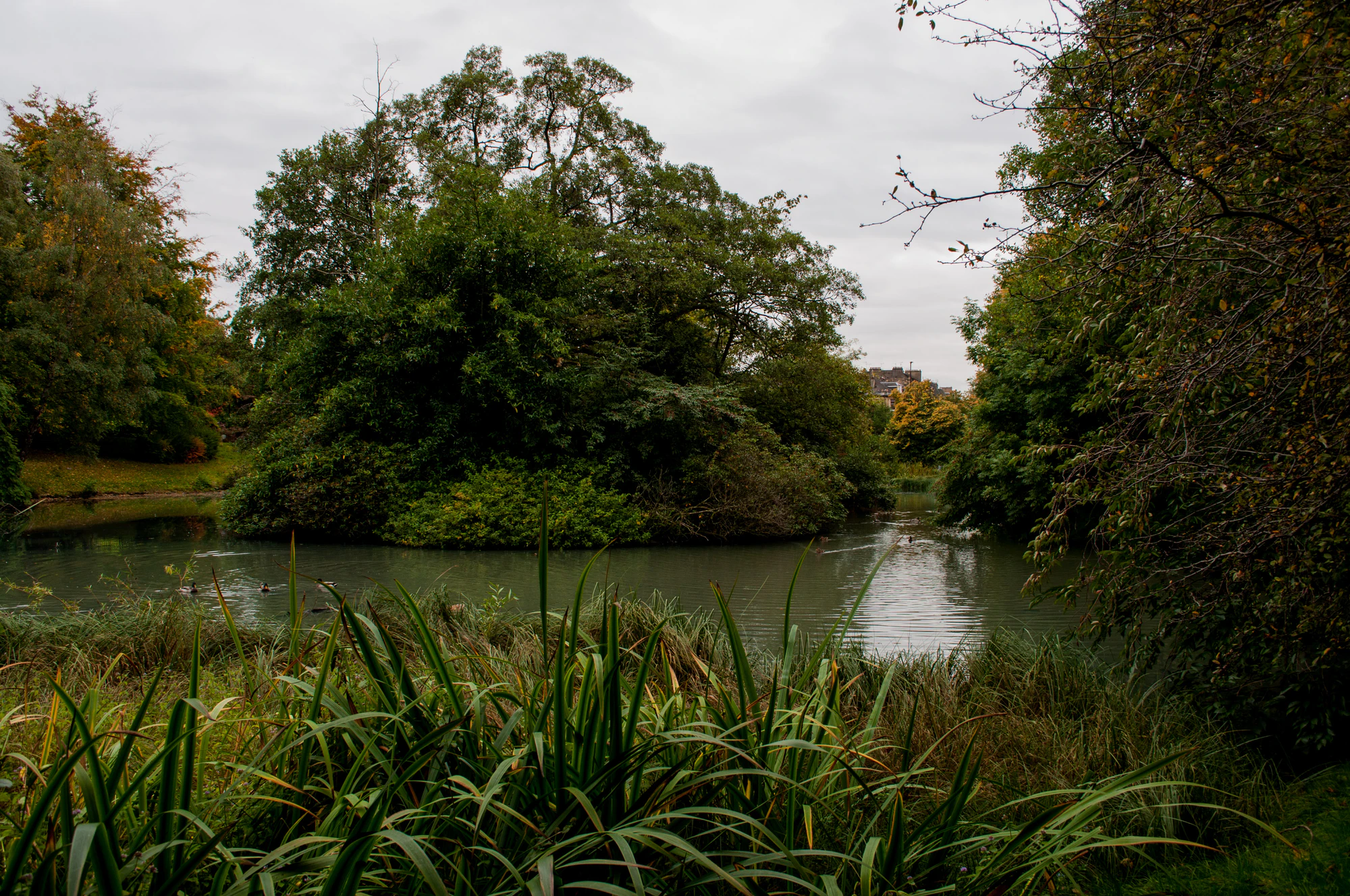 279 — Скачать