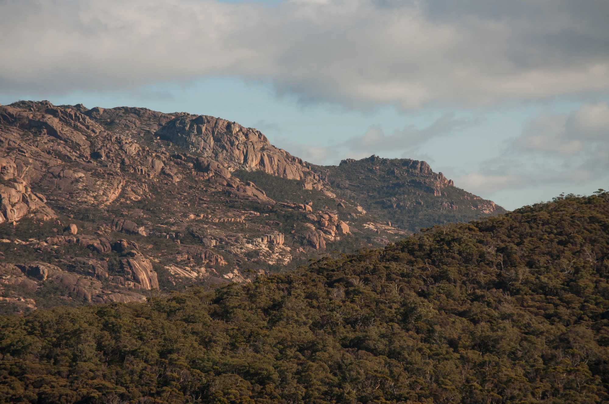 101 — Descargar