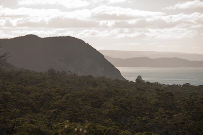 118 — Descargar