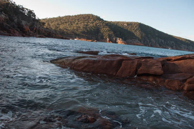 161 — Descargar