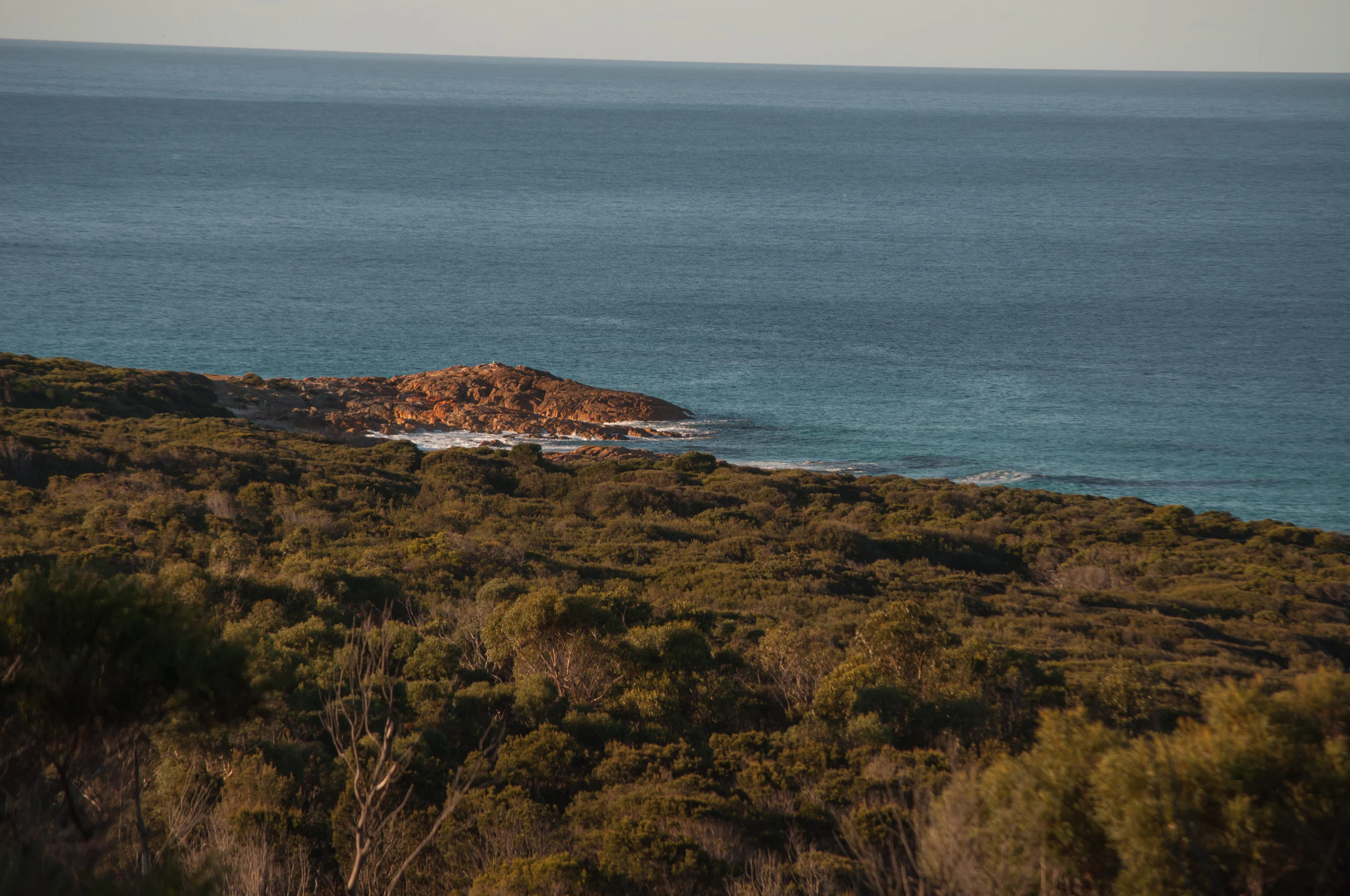 195 — Скачать