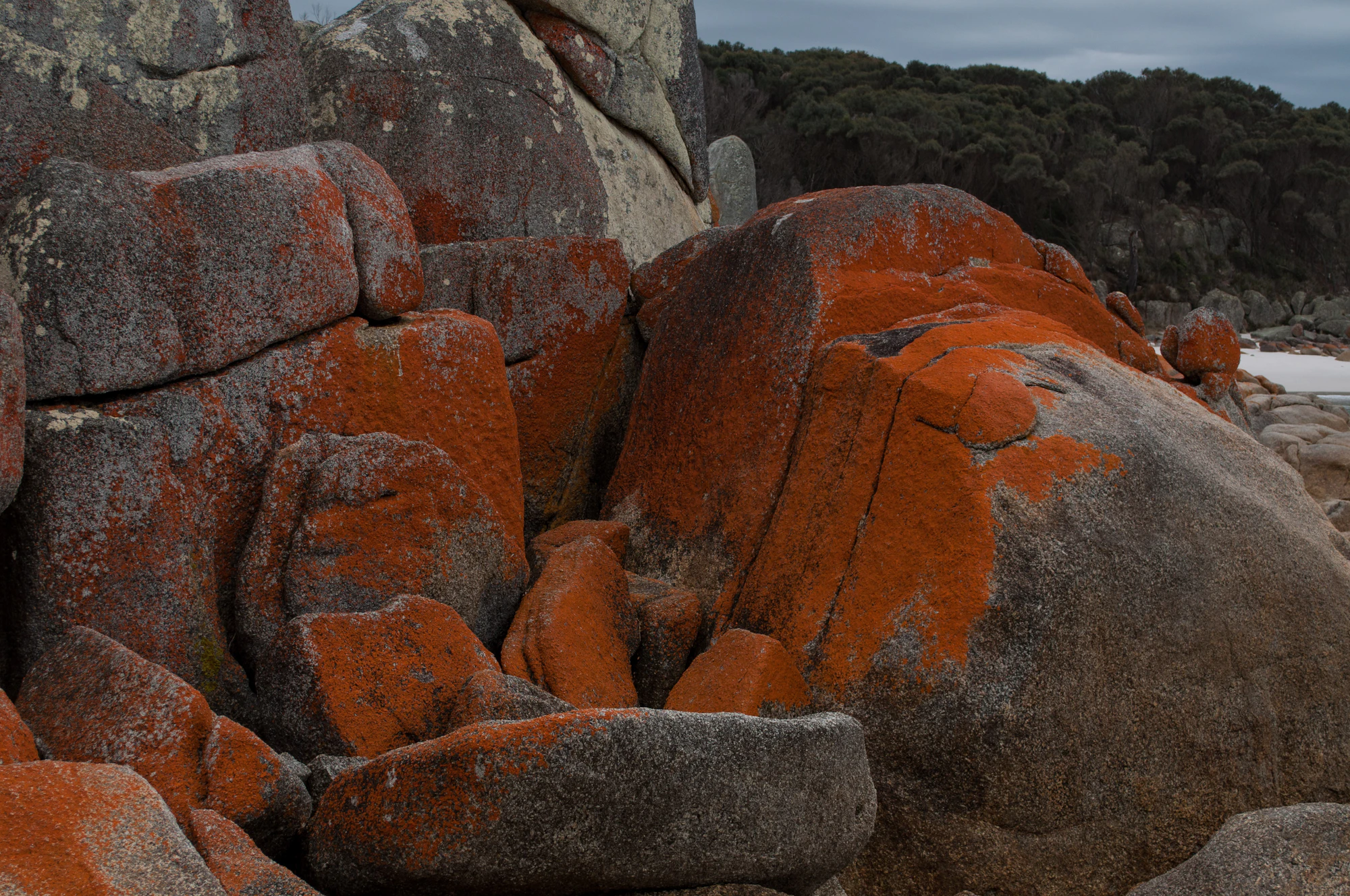 197 — Скачать