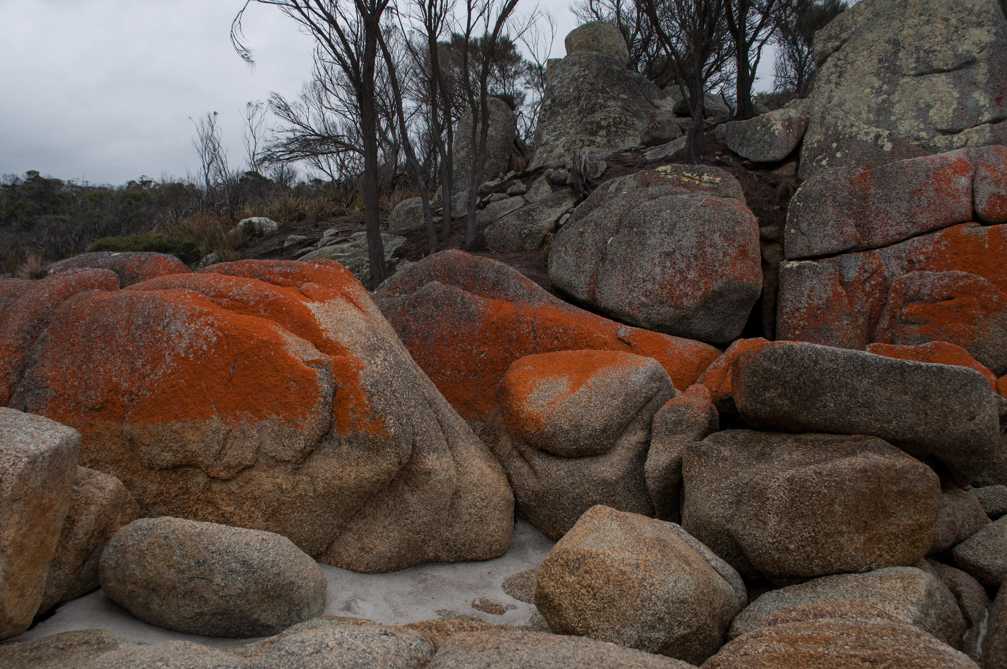 205 — Скачать