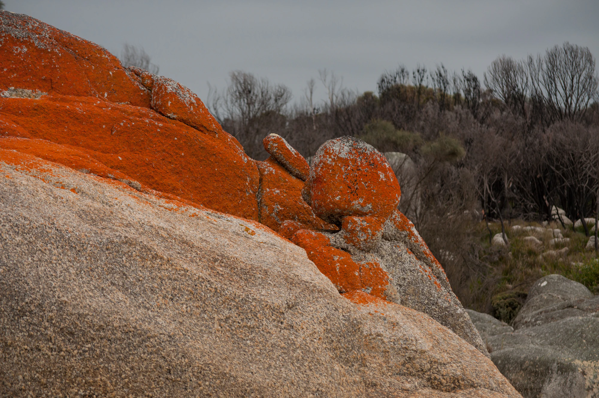 209 — Скачать