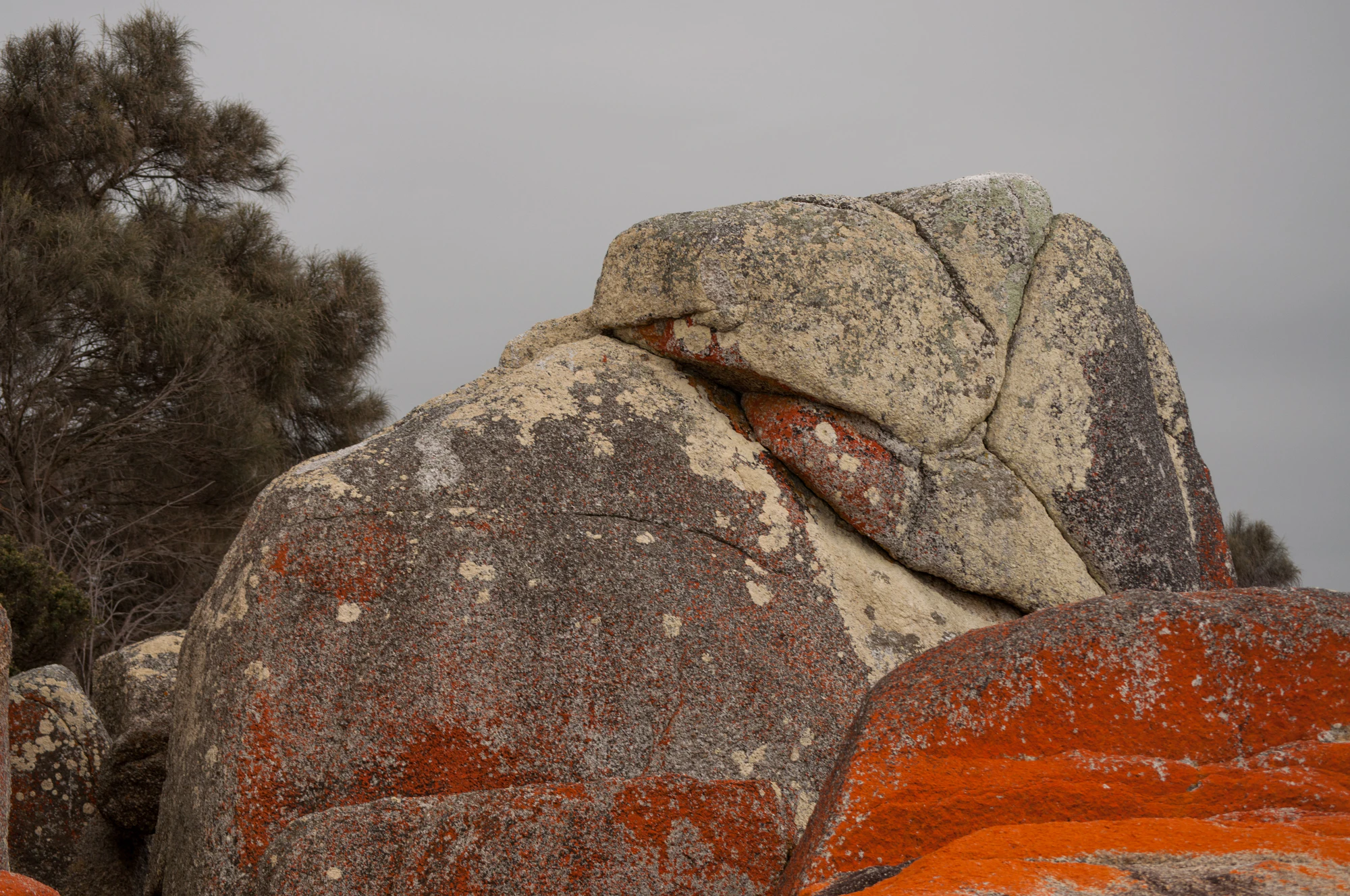 210 — Скачать