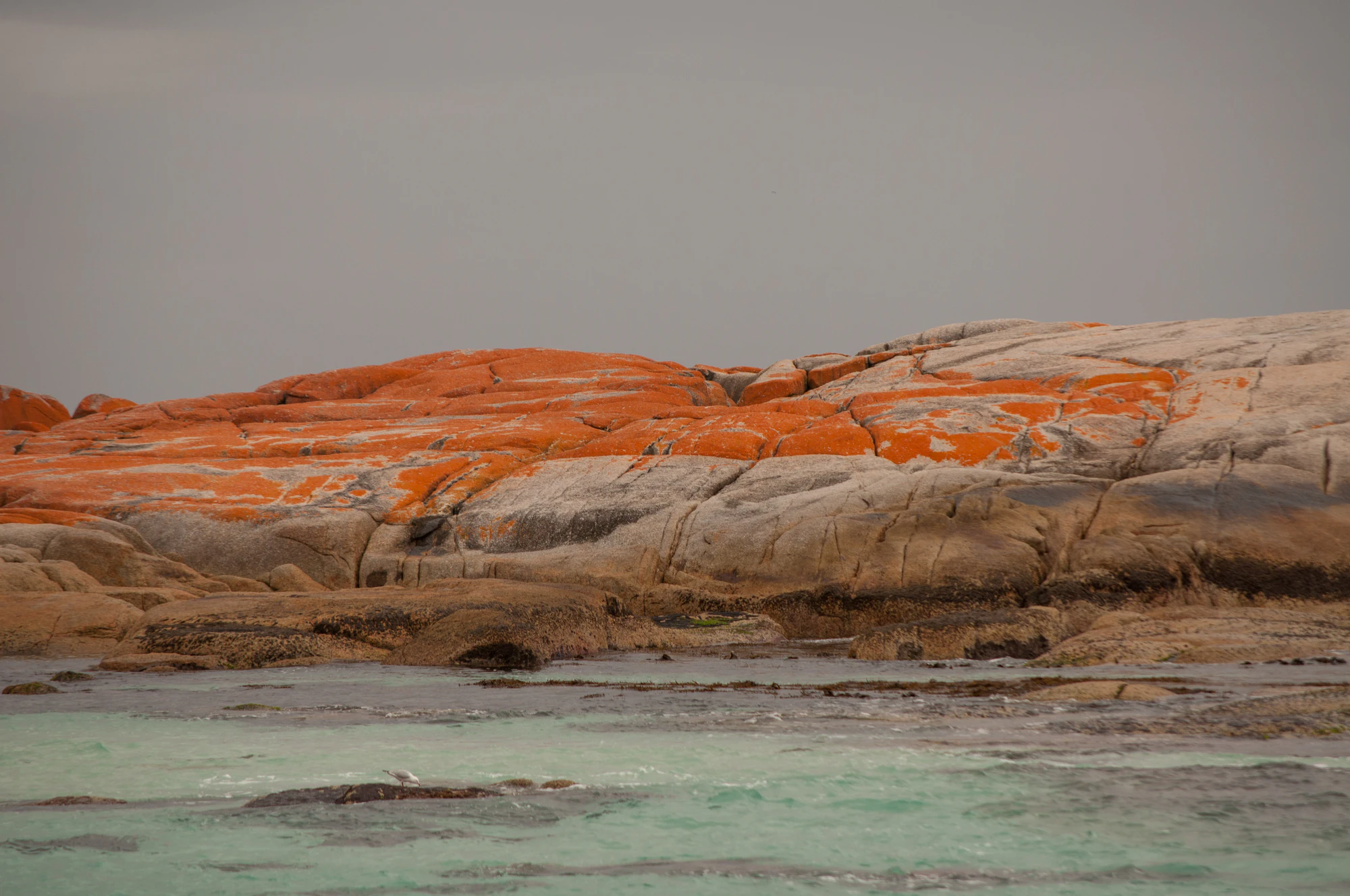 219 — Скачать