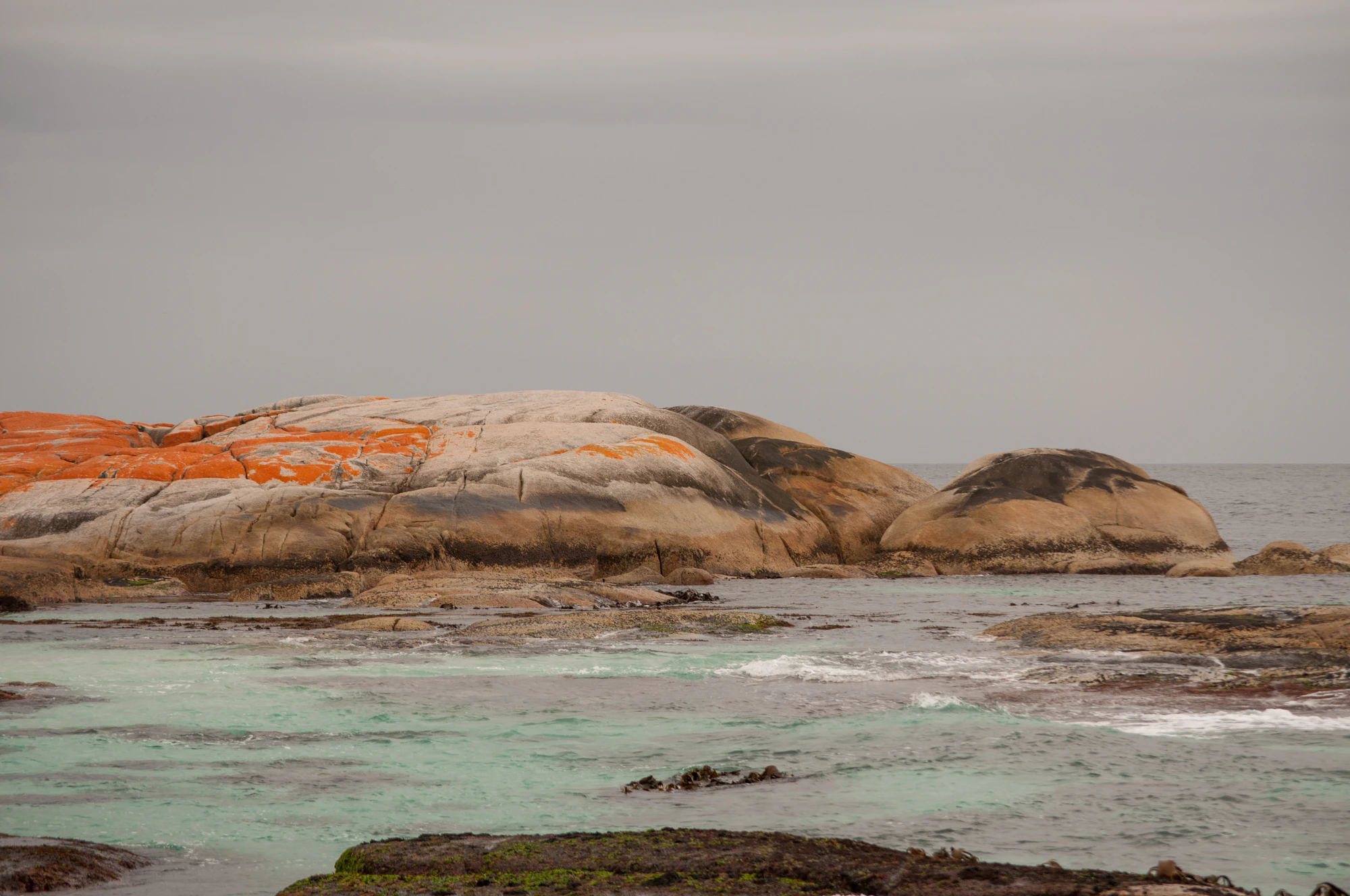 221 — Скачать