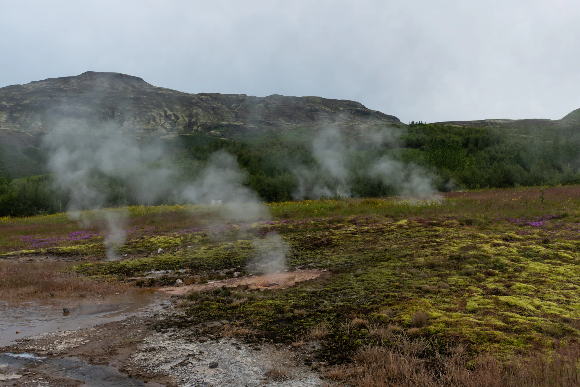 136 — Скачать