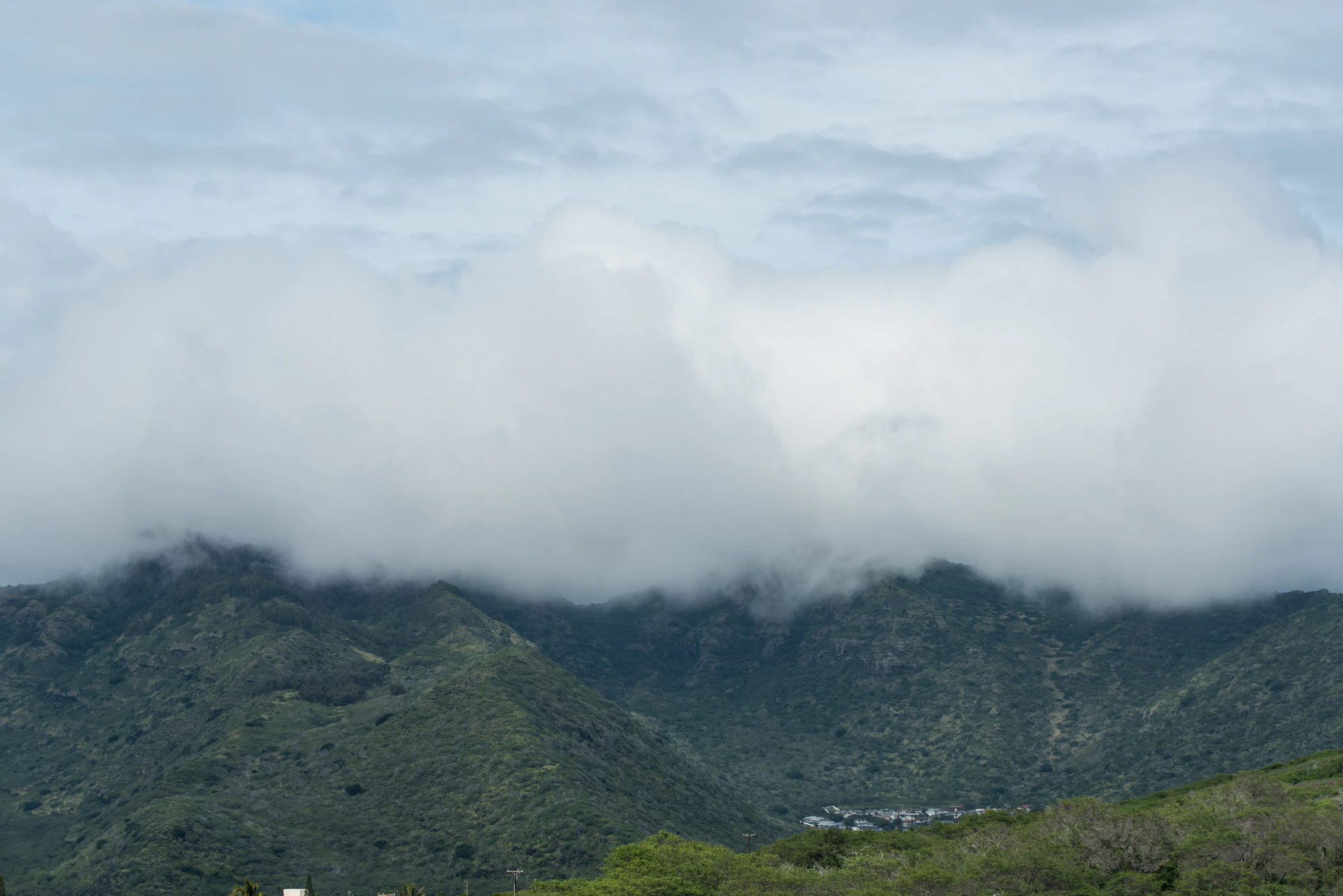 253 — Скачать