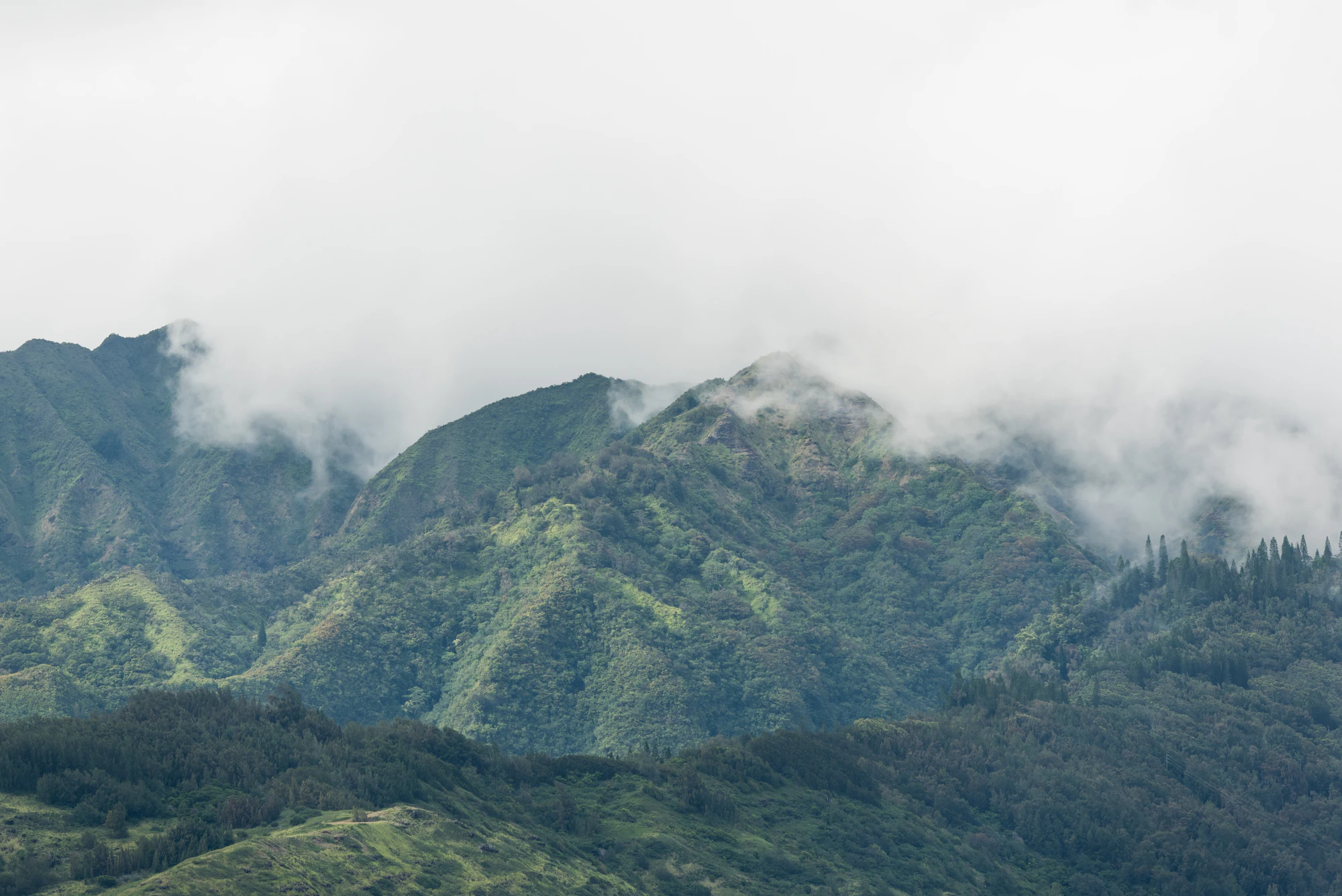 255 — Скачать