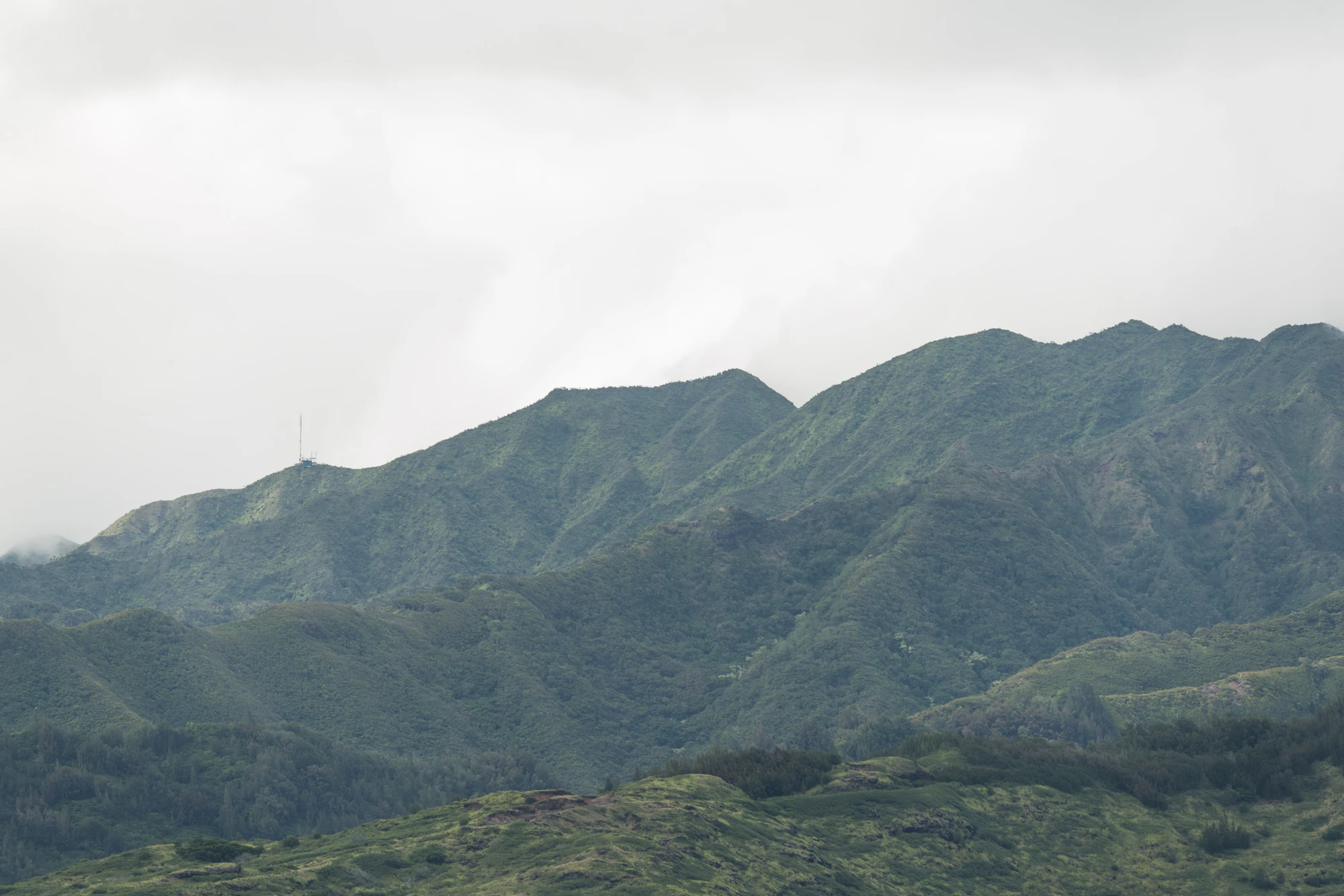 256 — Скачать