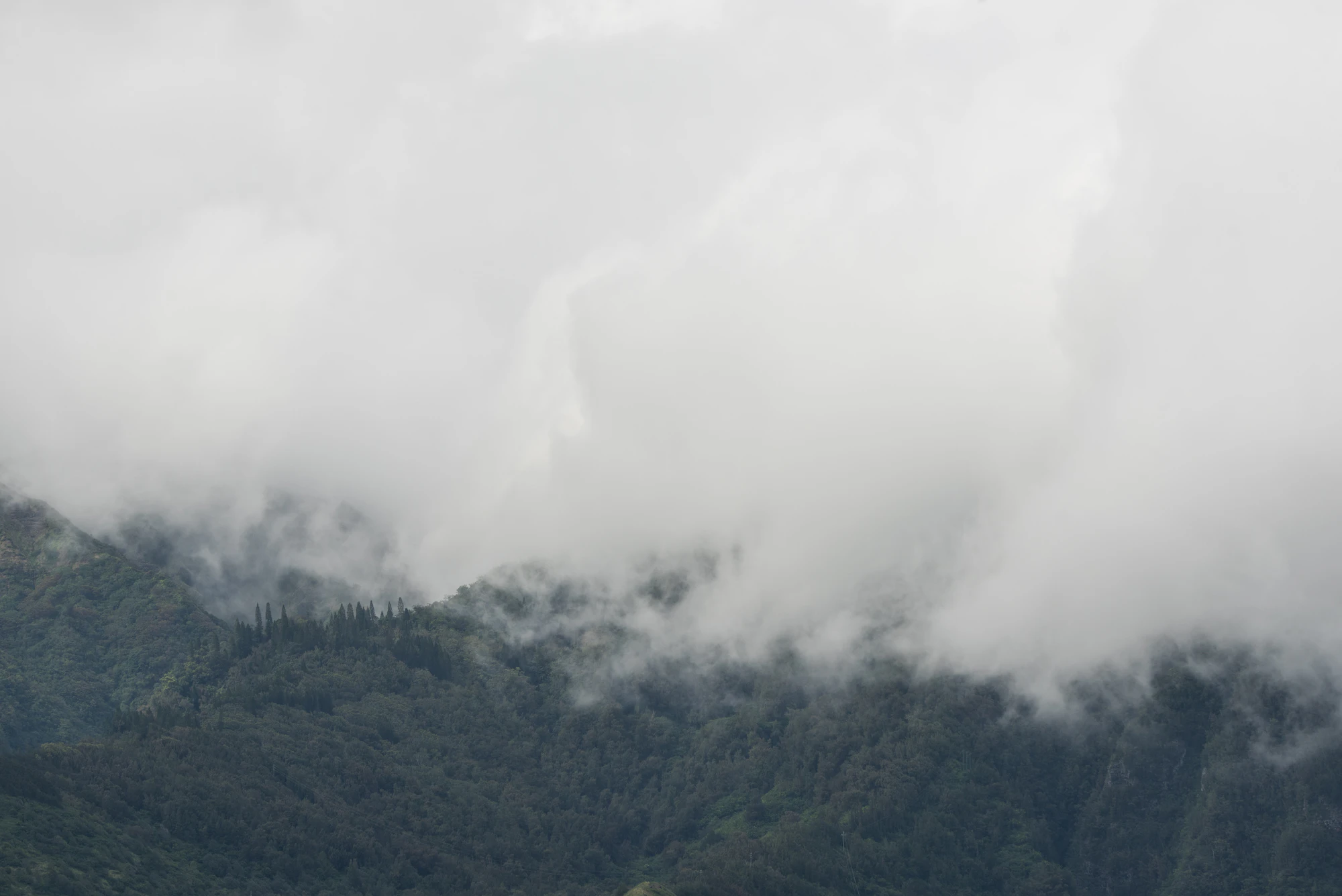 258 — Скачать