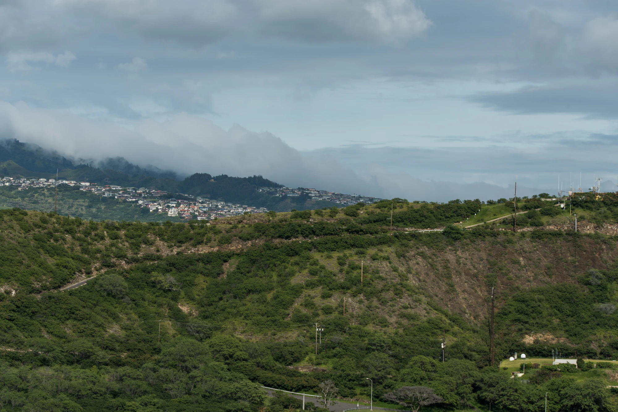 262 — Скачать