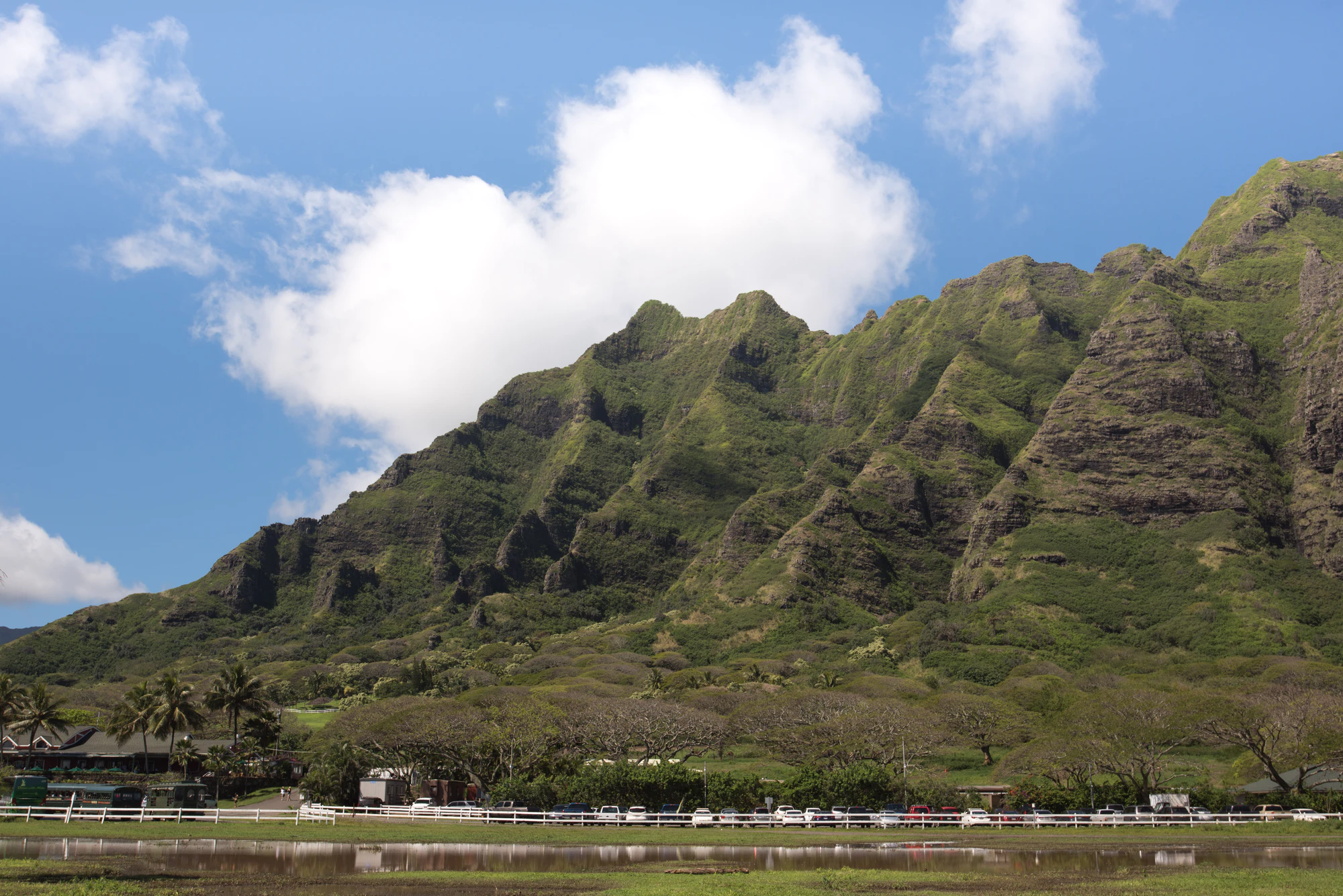 282 — Скачать