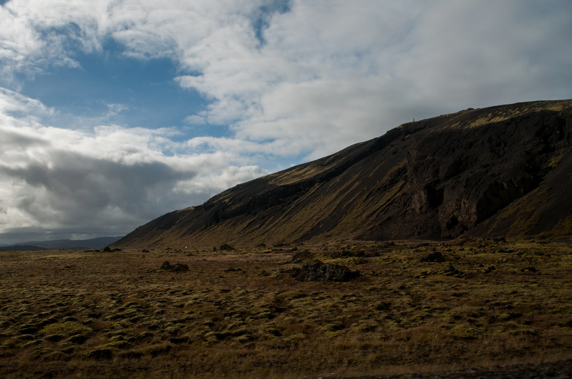 204 — Descargar