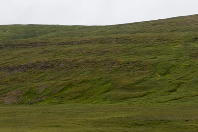 091 — Скачать