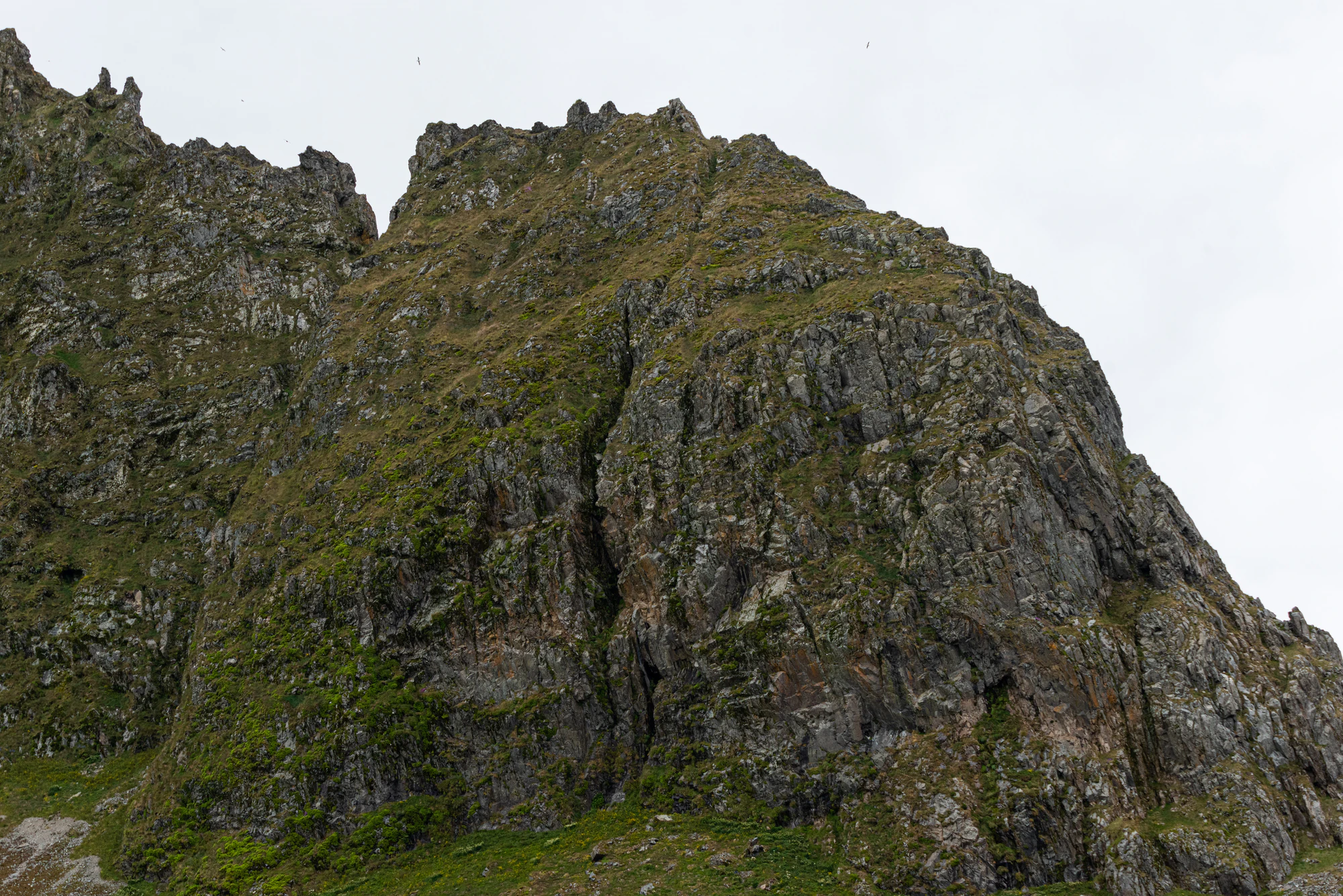 1008 — Descargar