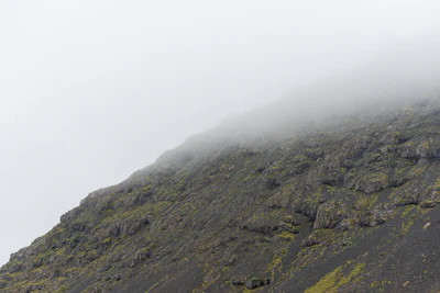 1042 — Скачать