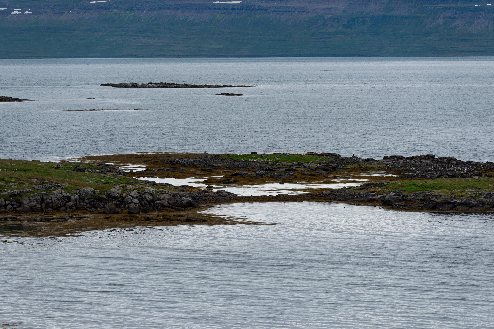 248 — Скачать