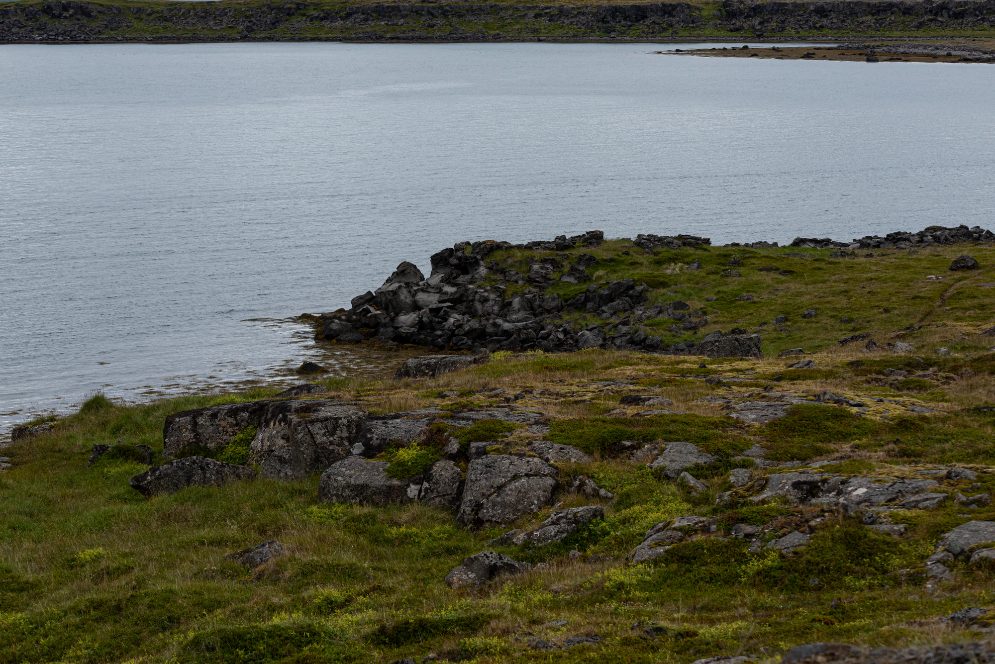 249 — Скачать